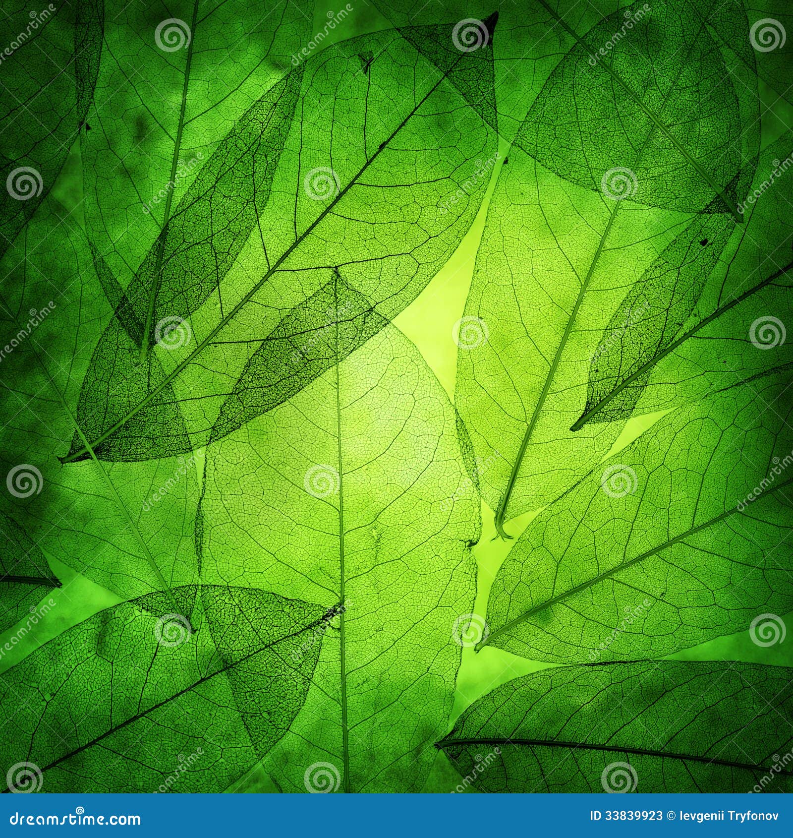 Green Leaf Color