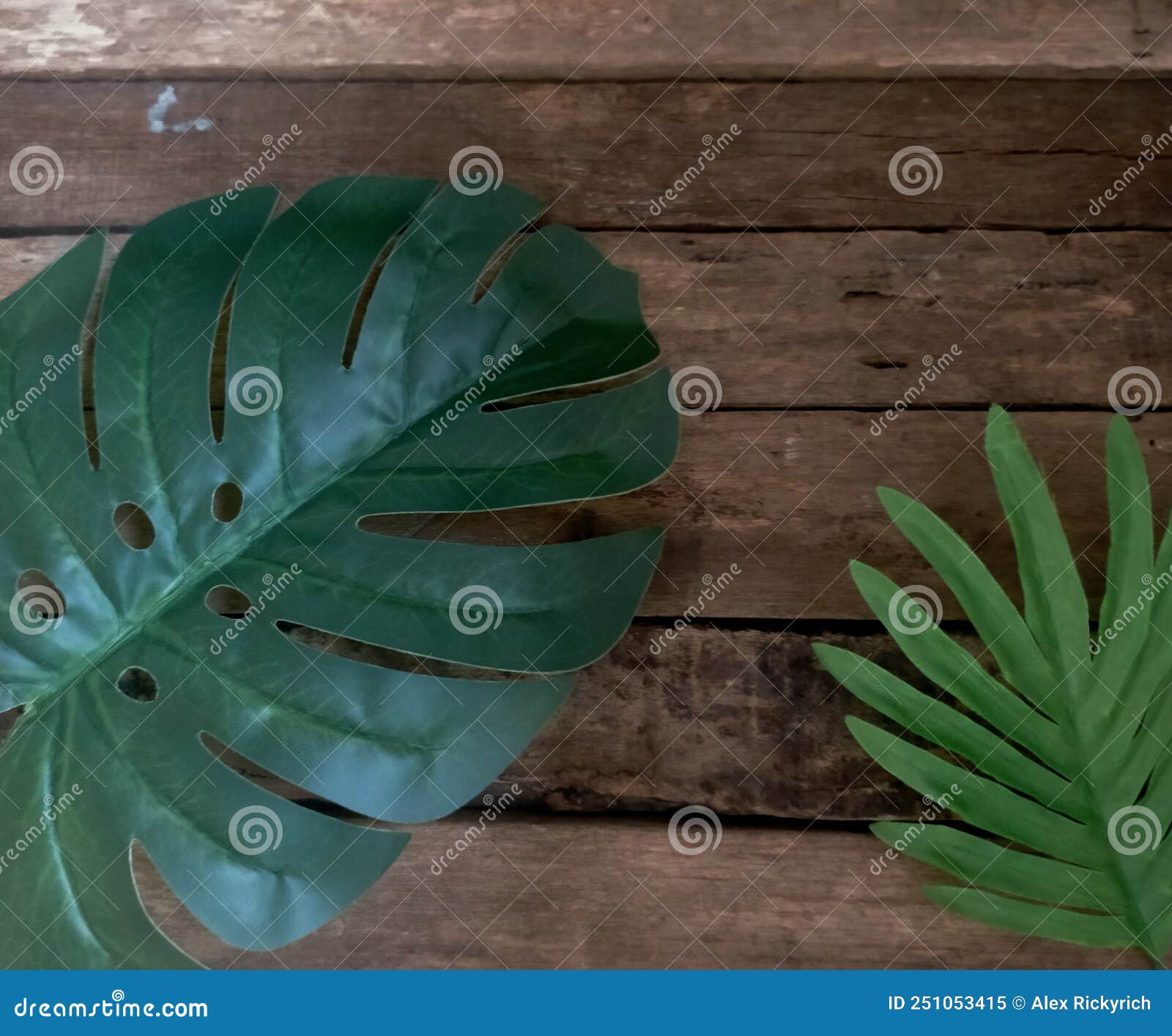 Green Leaves on Wood Background Stock Image Image of food, carving