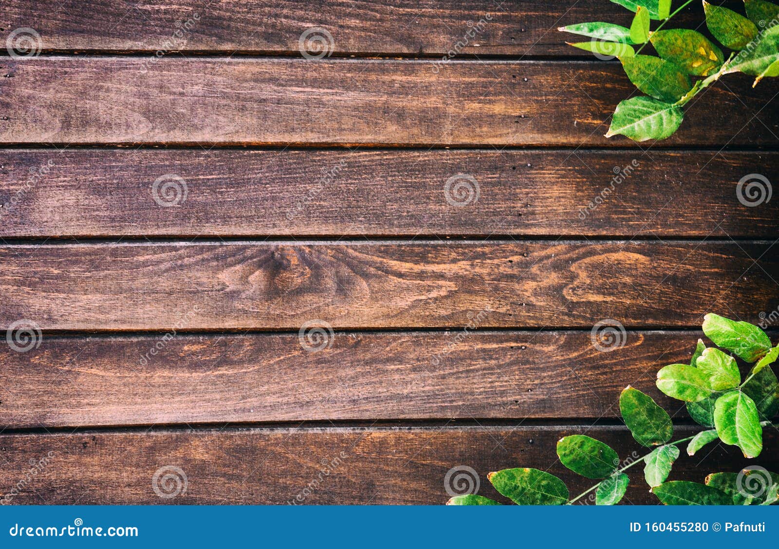 Lá xanh trên sàn gỗ cũ: Tạo nét sống động cho không gian sống của bạn bằng những chiếc lá xanh tươi trên chiếc sàn gỗ cũ kỹ. Hãy xem bức ảnh để khám phá cách để tổng hợp các yếu tố thiên nhiên và nội thất.