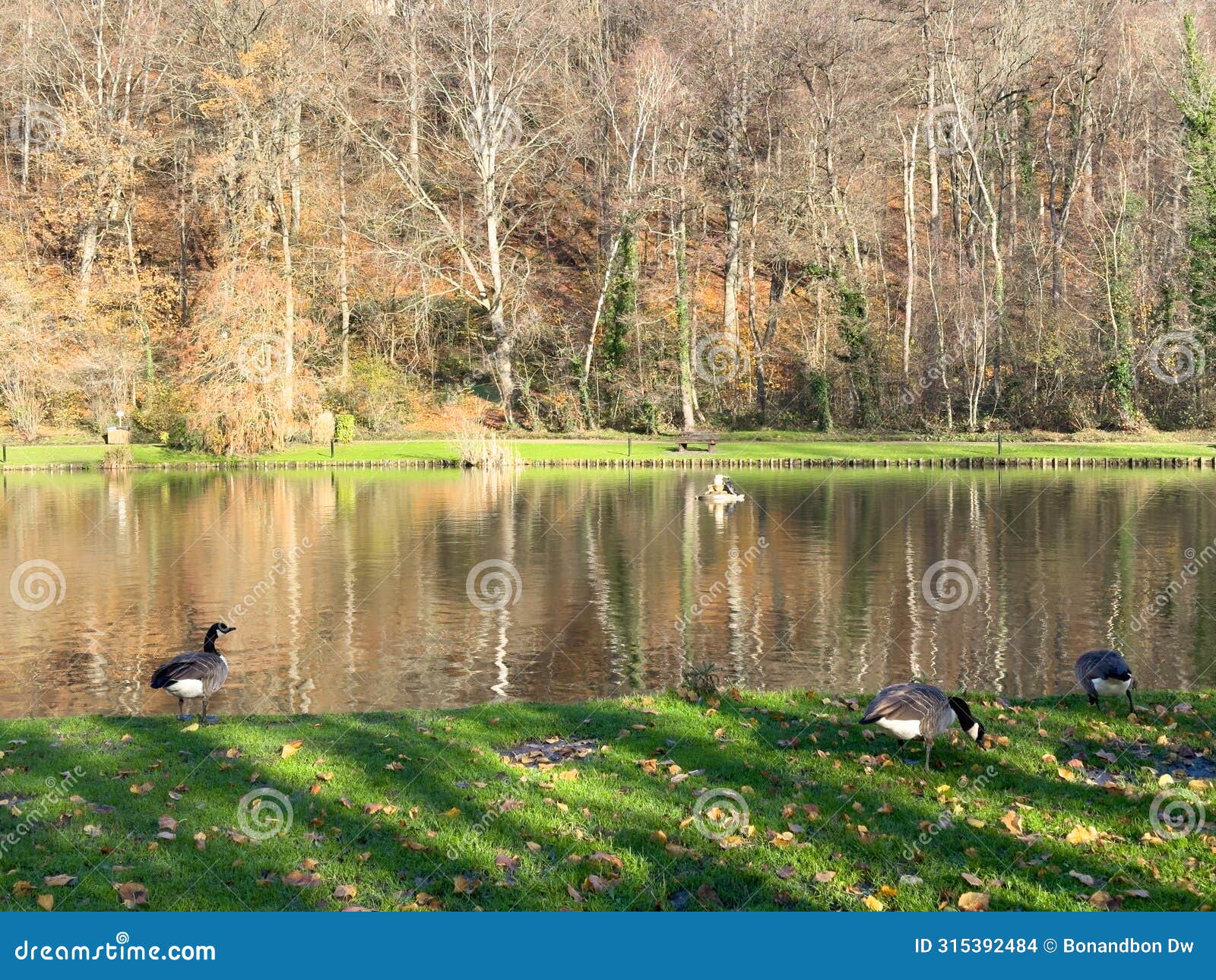 green leisure park bois des reves with lake in belgium