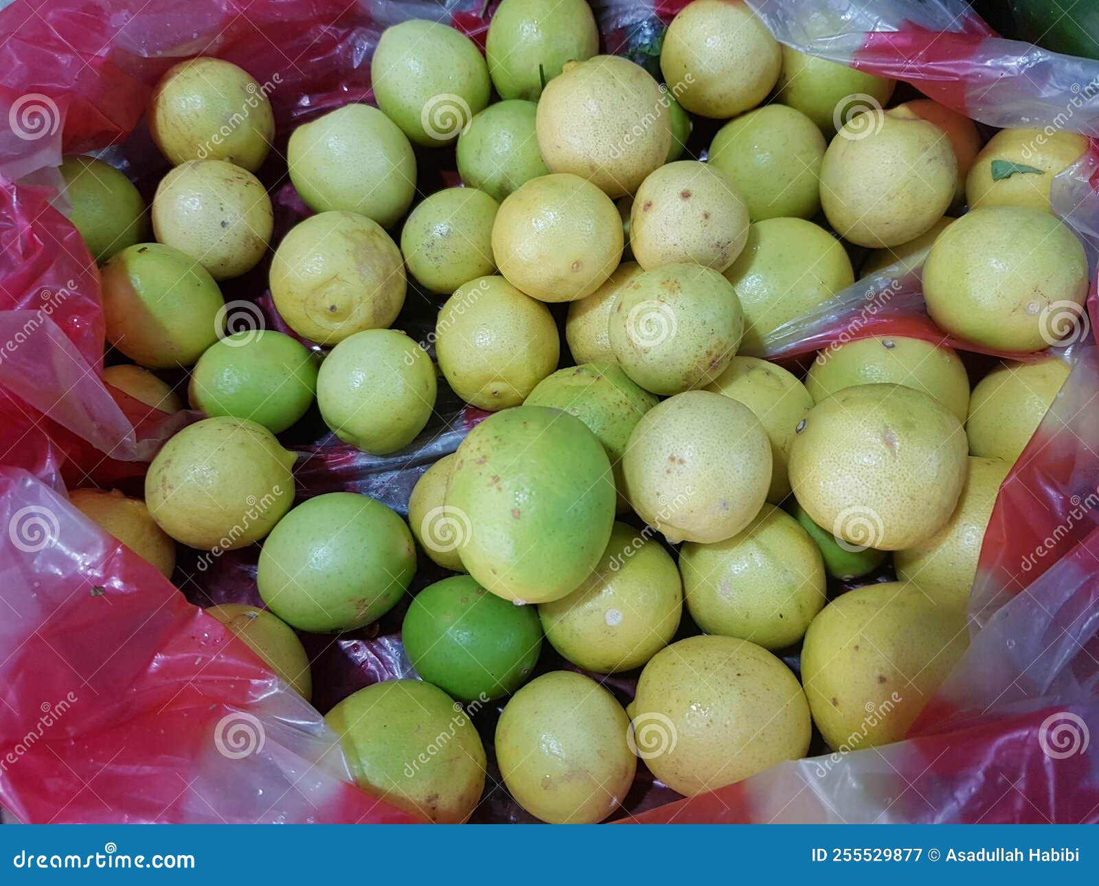 Green lemons kept for sale stock image. Image of branch 255529877