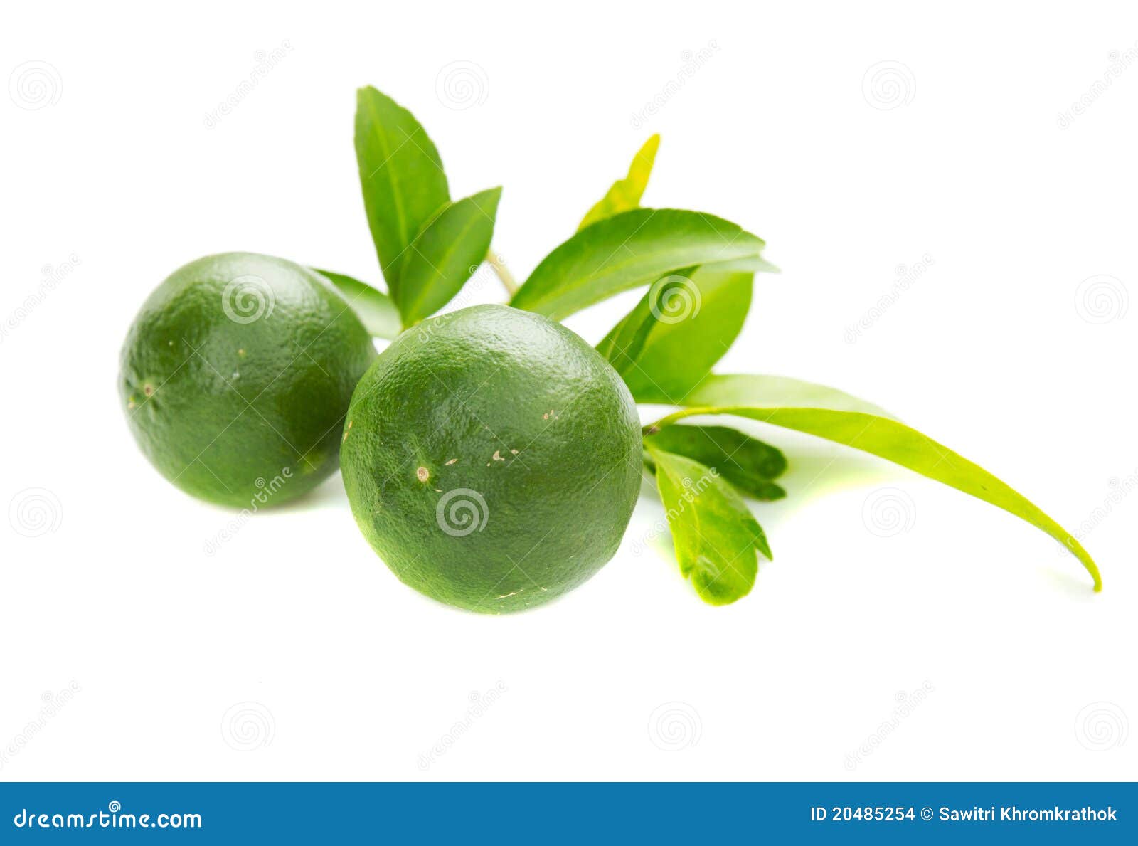 Green lemons with leaves stock photo. Image of peel, beautiful 20485254