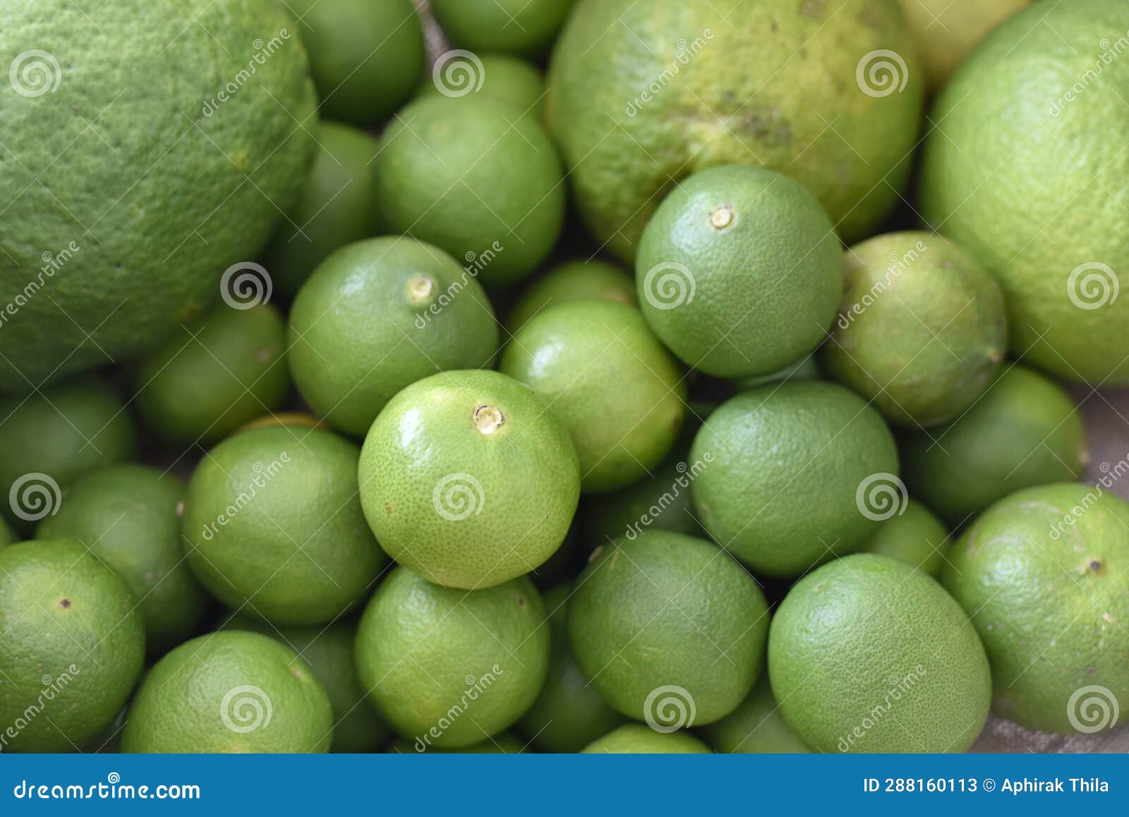 Green Lemons Limes As a Background Stock Image Image of natural
