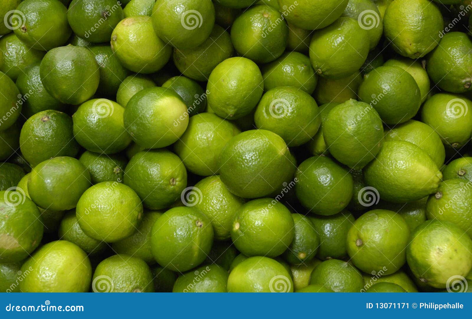 Green lemons at the market stock image. Image of pile 13071171