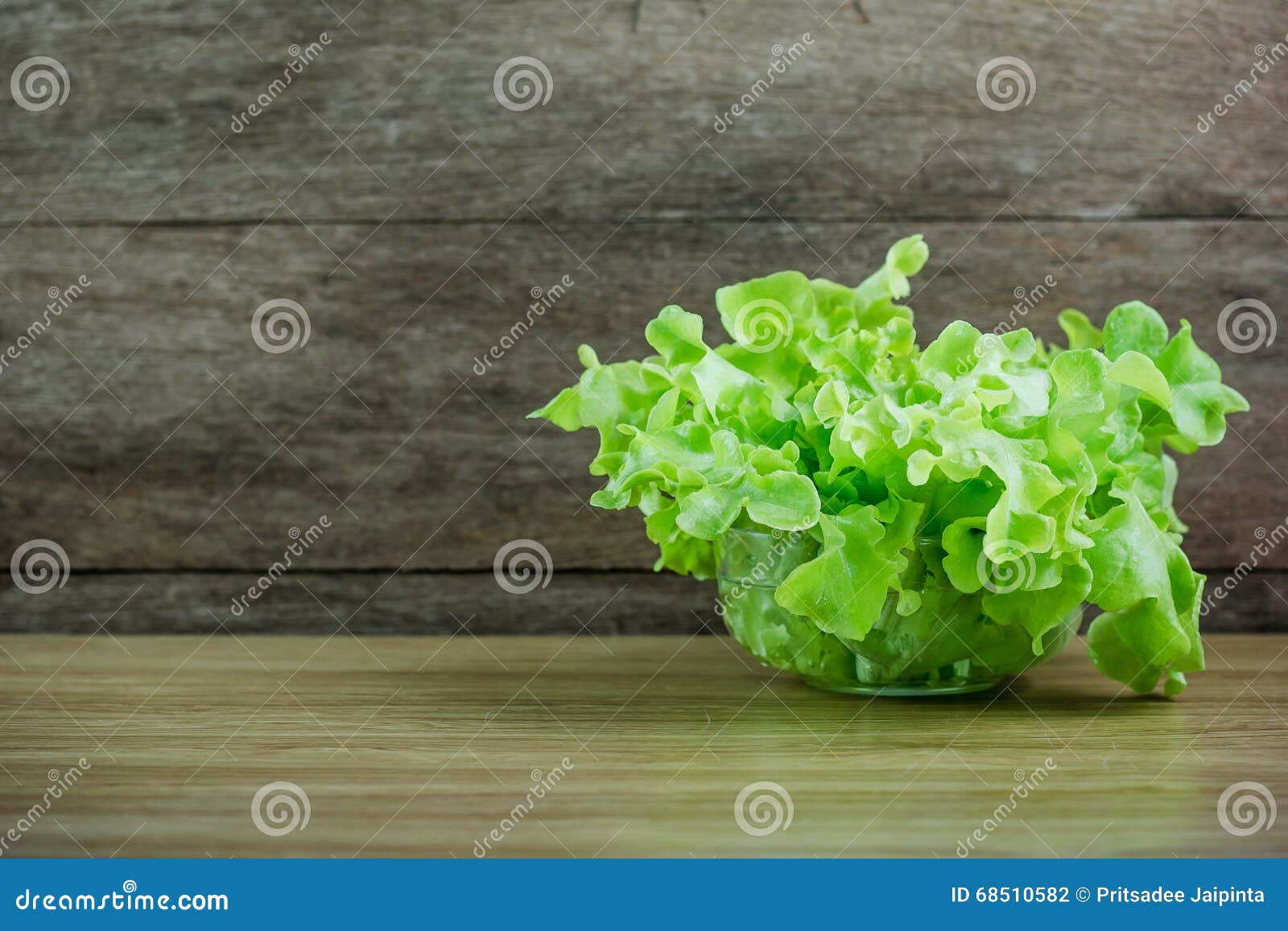 Green lettuce stock photo. Image of nutrition, nature - 68510582