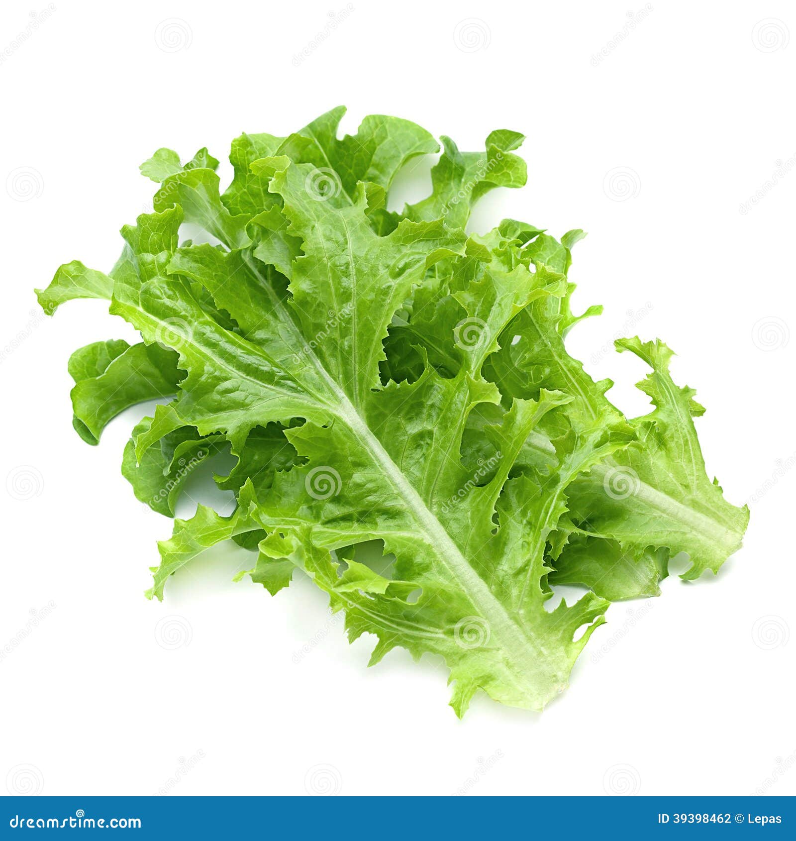 Green Lettuce Salad Fresh Leaf Stock Photo Image of freshness, leaf
