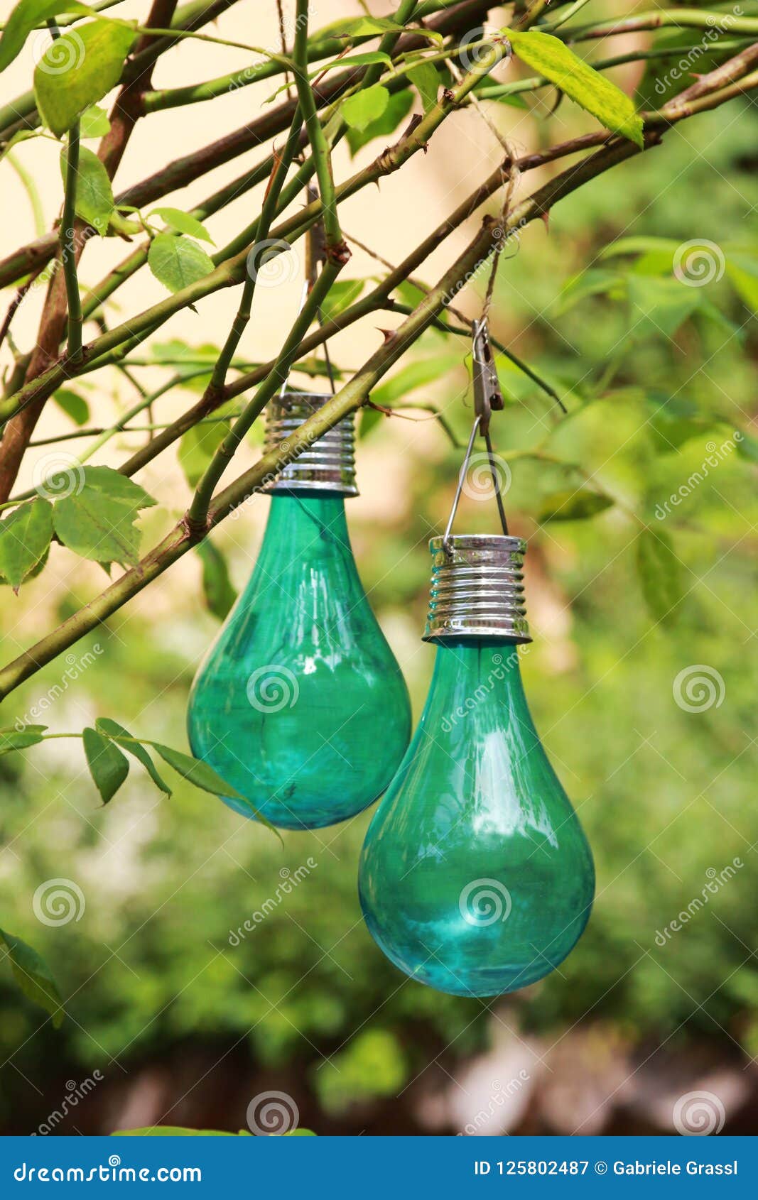 Green Light Bulbs for a Garden Party, Hanging on a Bush Stock Image