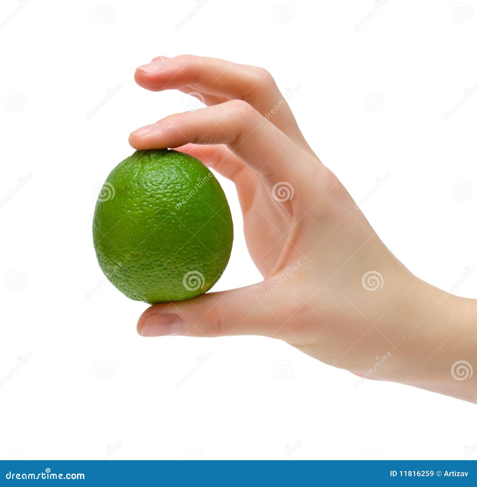 Green lime in hand stock image. Image of lime, tropical 11816259