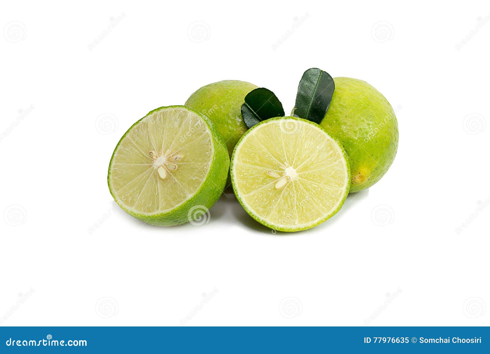Green lime stock image. Image of ripe, lime, food, wedge 77976635