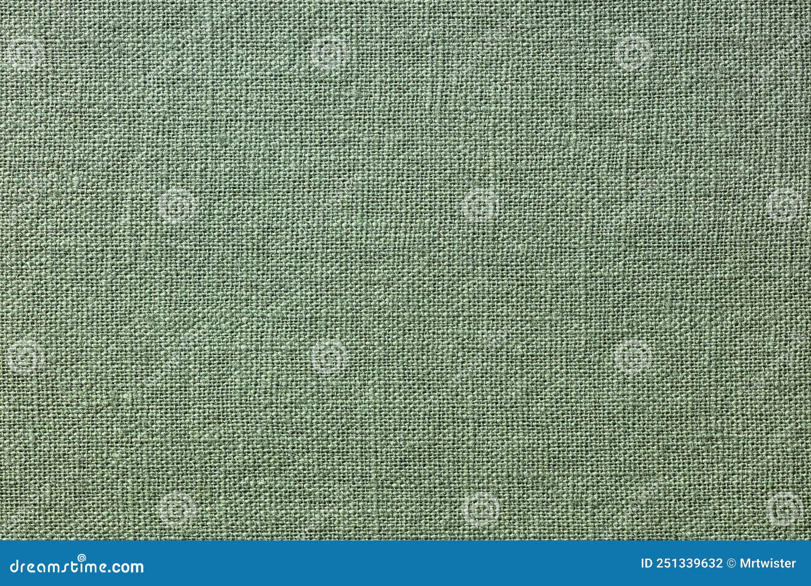 Dark Green Velvet Texture Background Stock Photo - Download Image Now -  Green Color, Textured, Textile - iStock