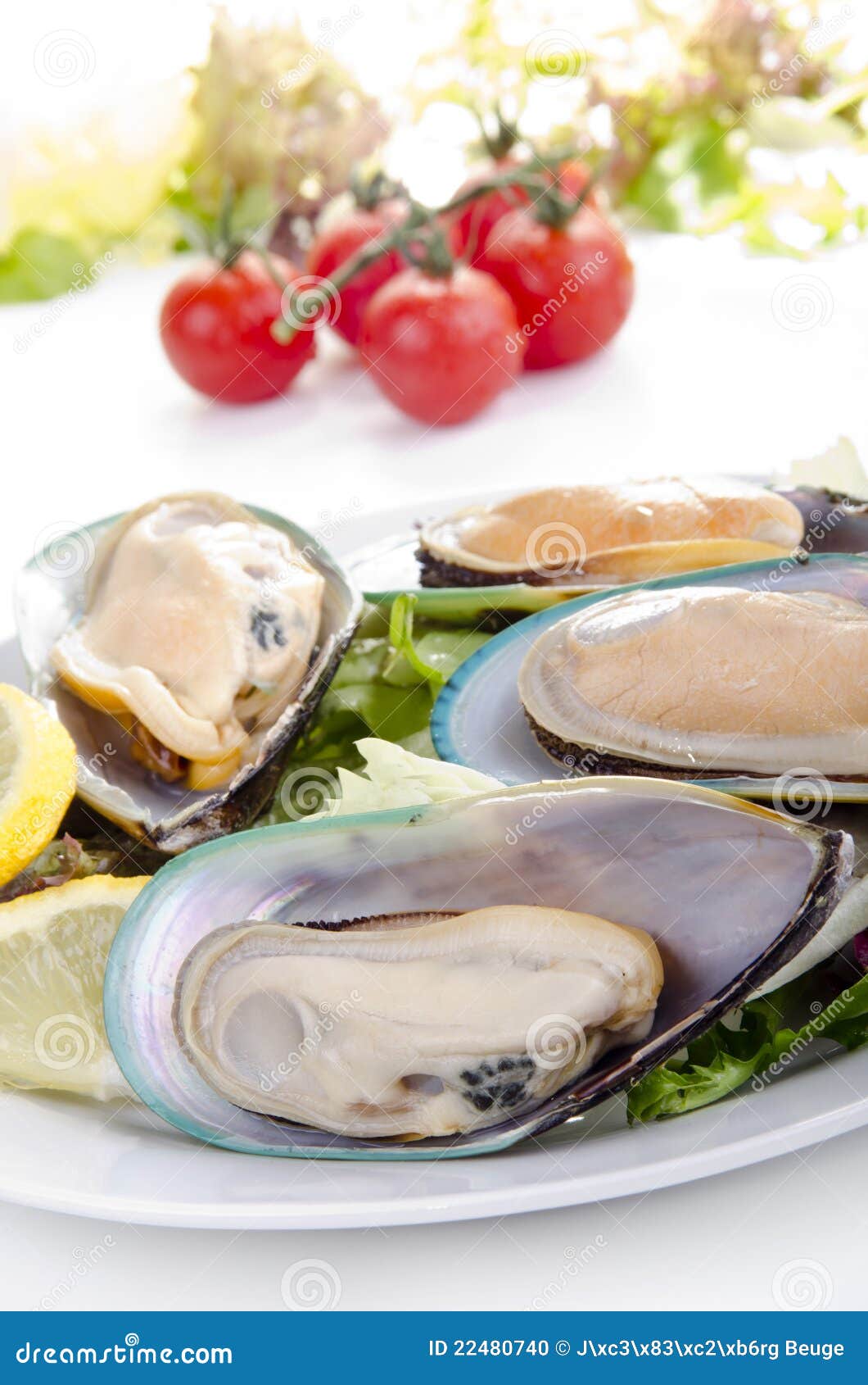 Green Lipped Mussels with Salad Stock Photo Image of appetising