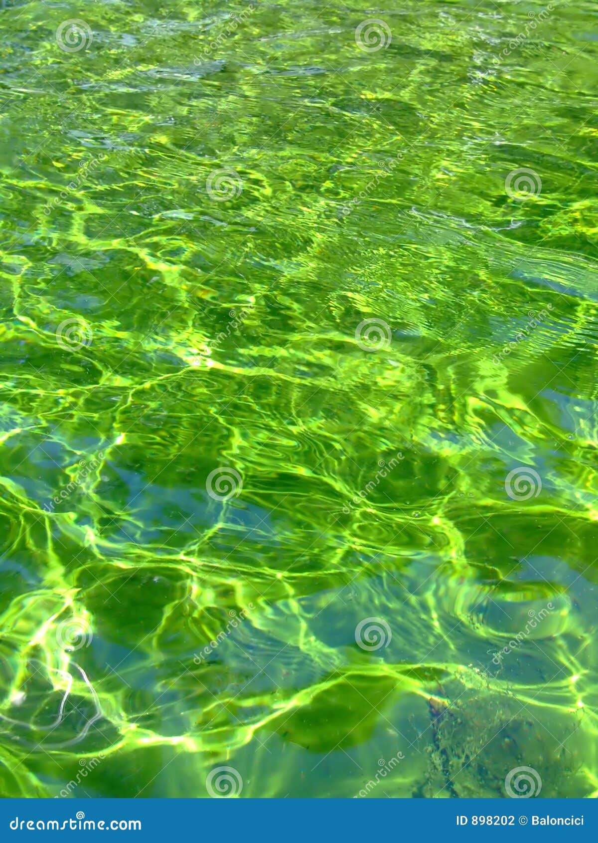 Green Liquid Green Liquid