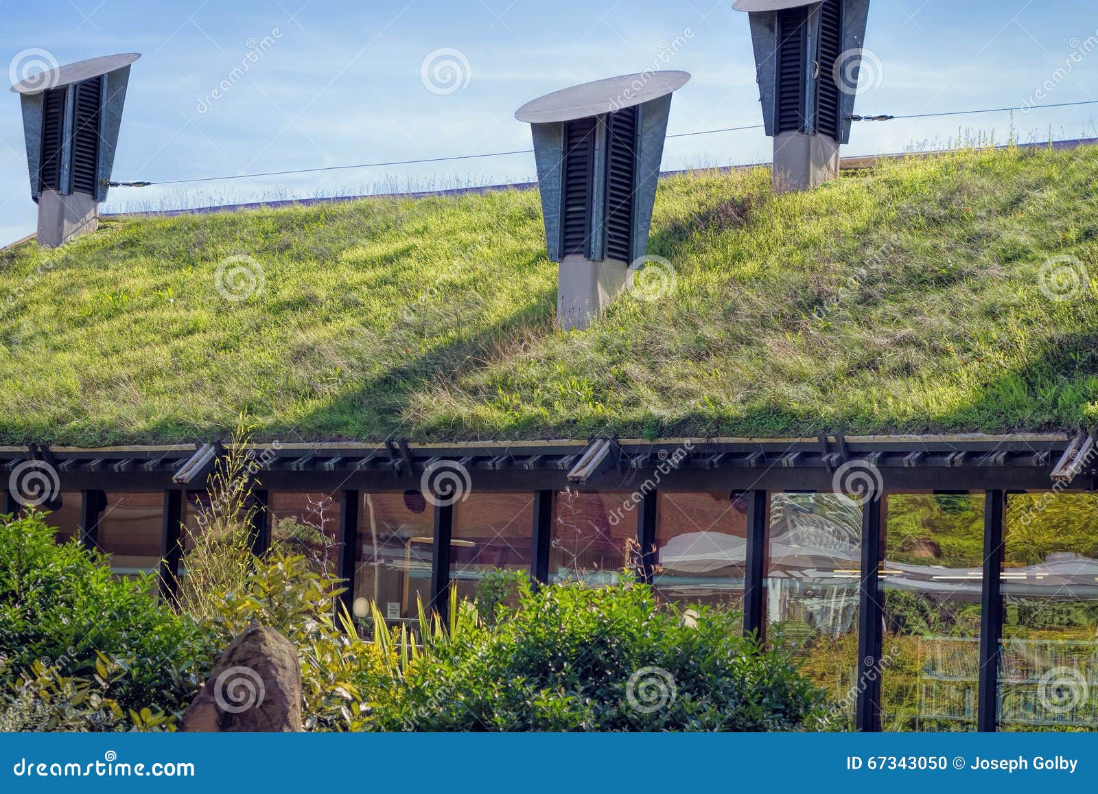 green living roof. eco friendly building