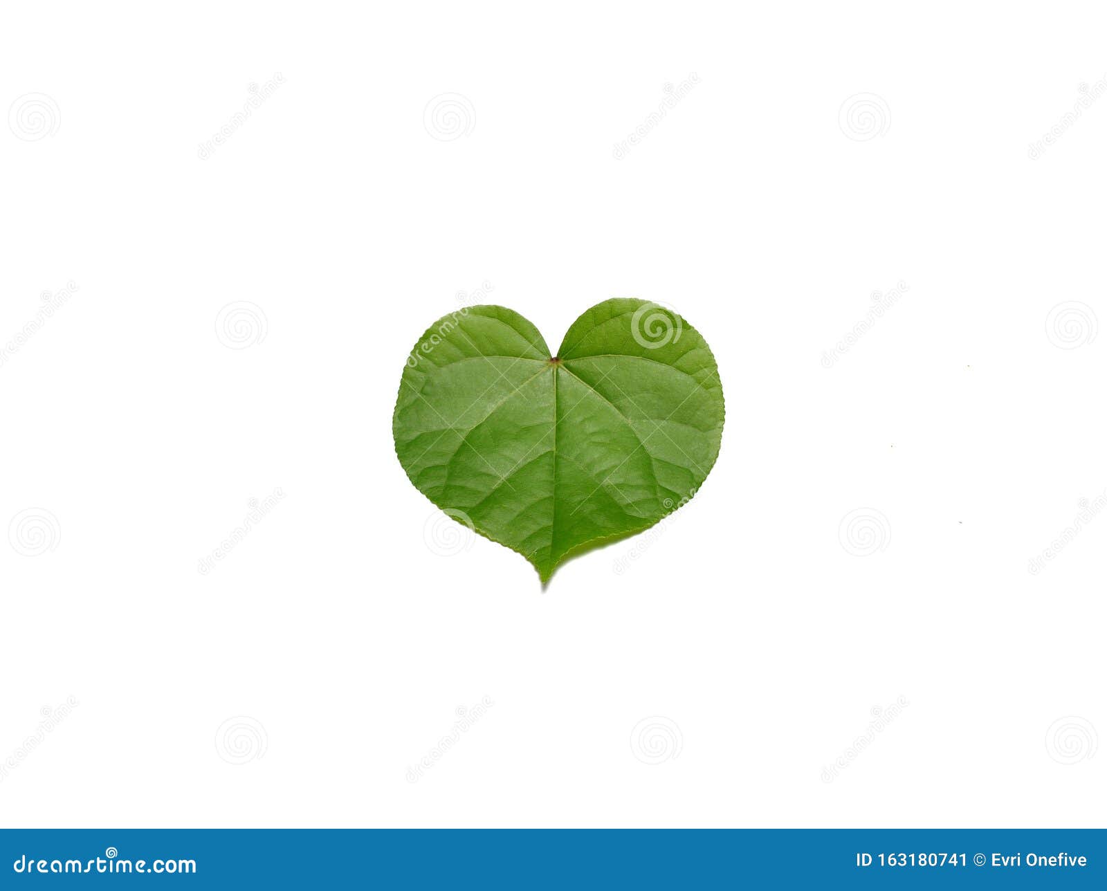 Love Leaf Wallpaper - werohmedia