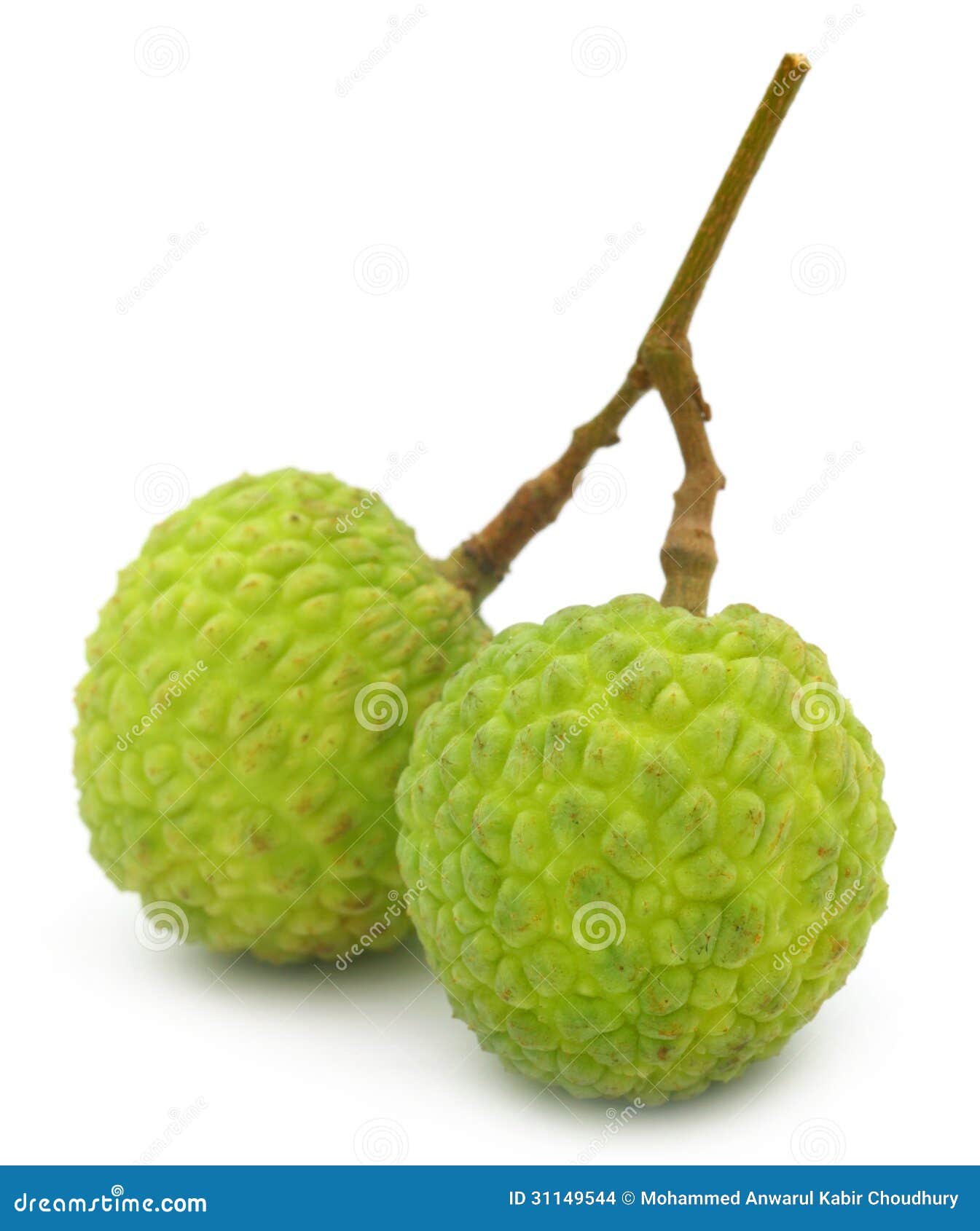 Green Lychee stock photo. Image of diet, green, leechee - 31149544