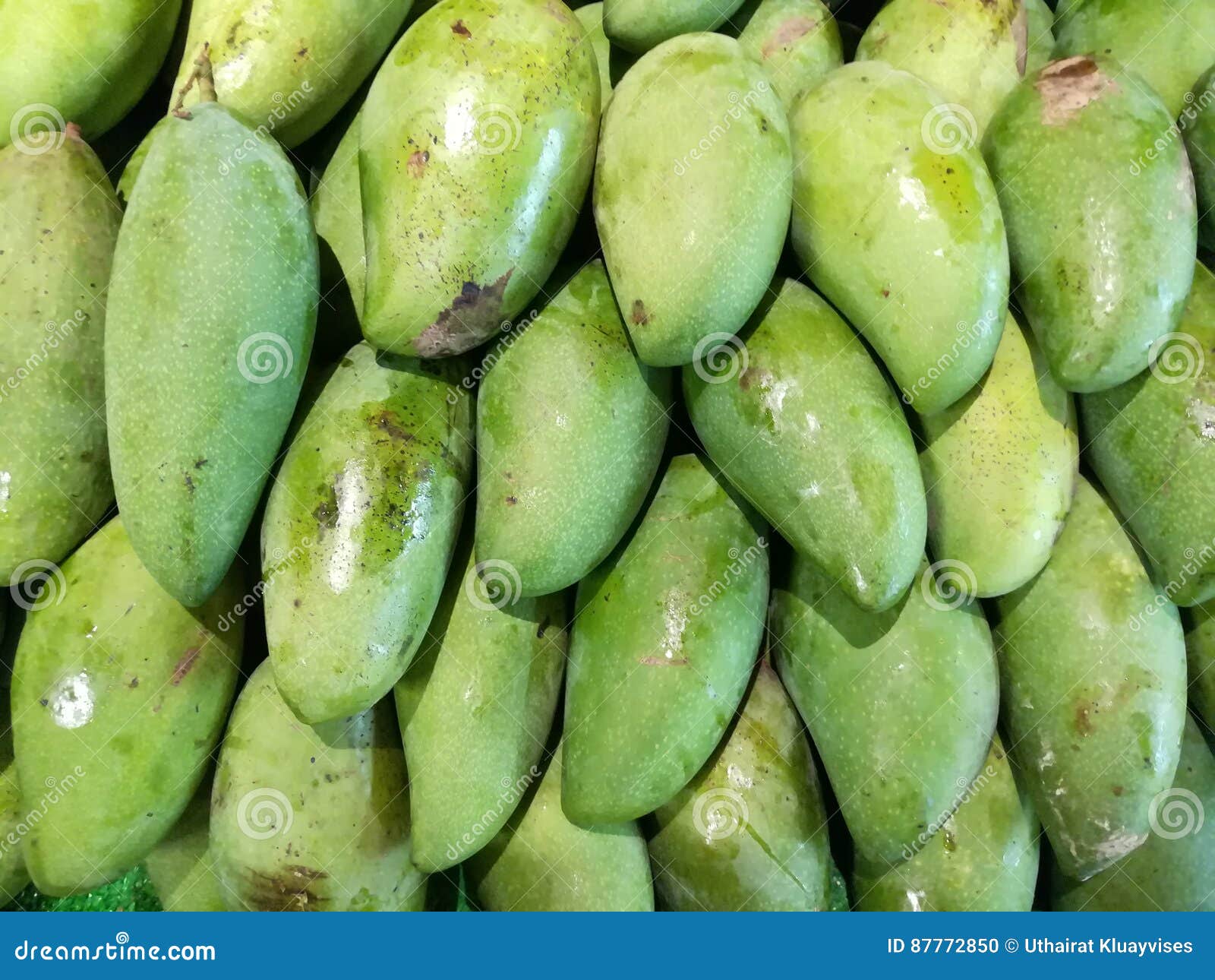 Green mango stock photo. Image of green, sweet, mangoes 87772850