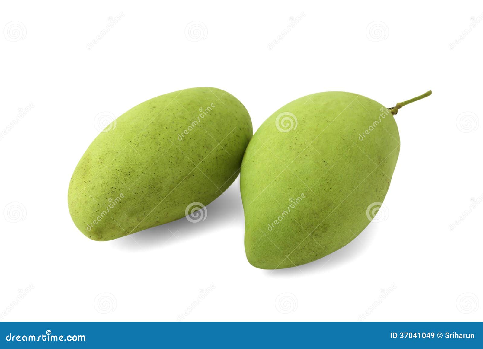 Green mango stock image. Image of fiber, organic, diet 37041049