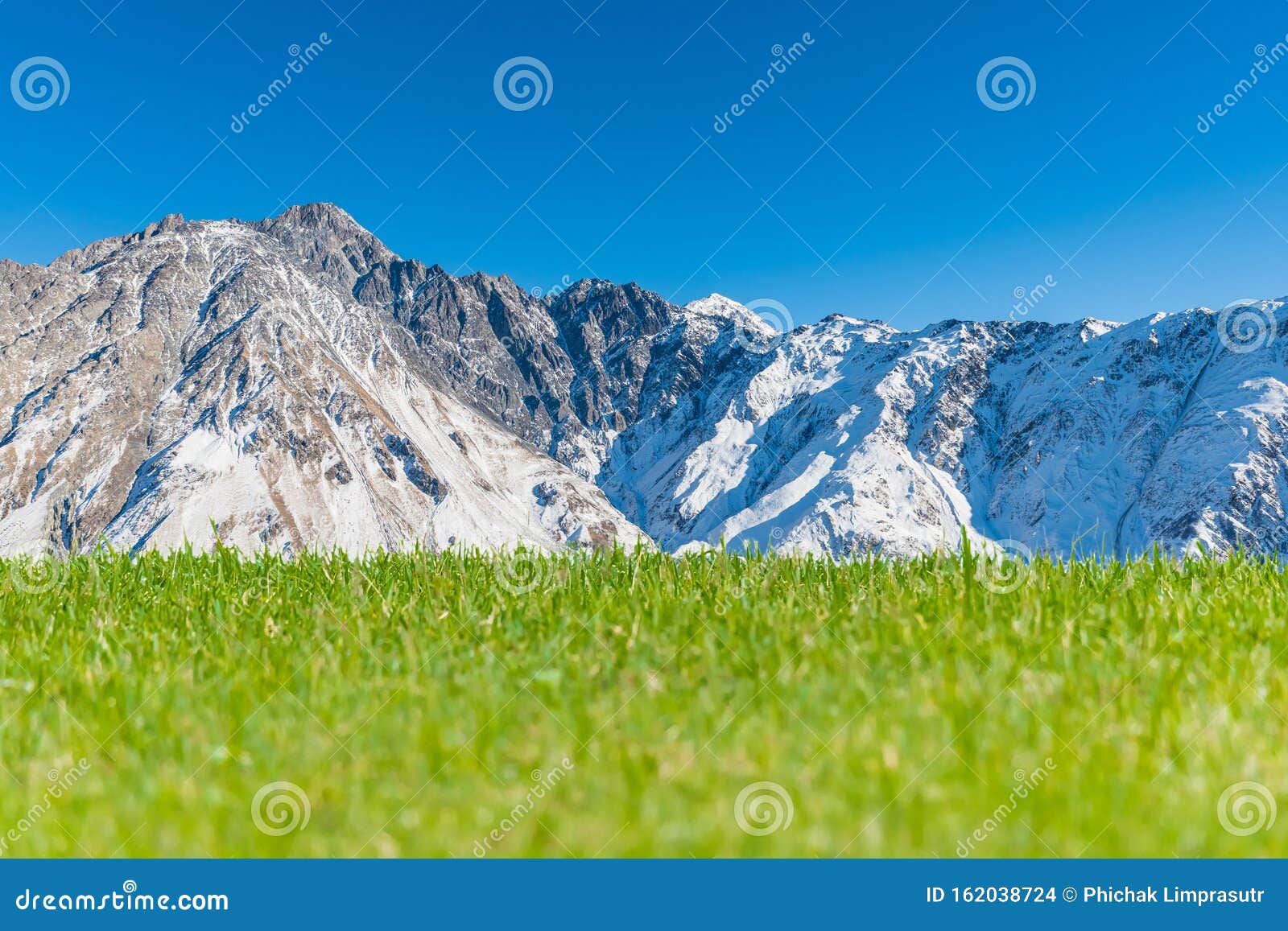 Green Meadow With Snowy Mountain And Clear Blue Sky In Background Stock