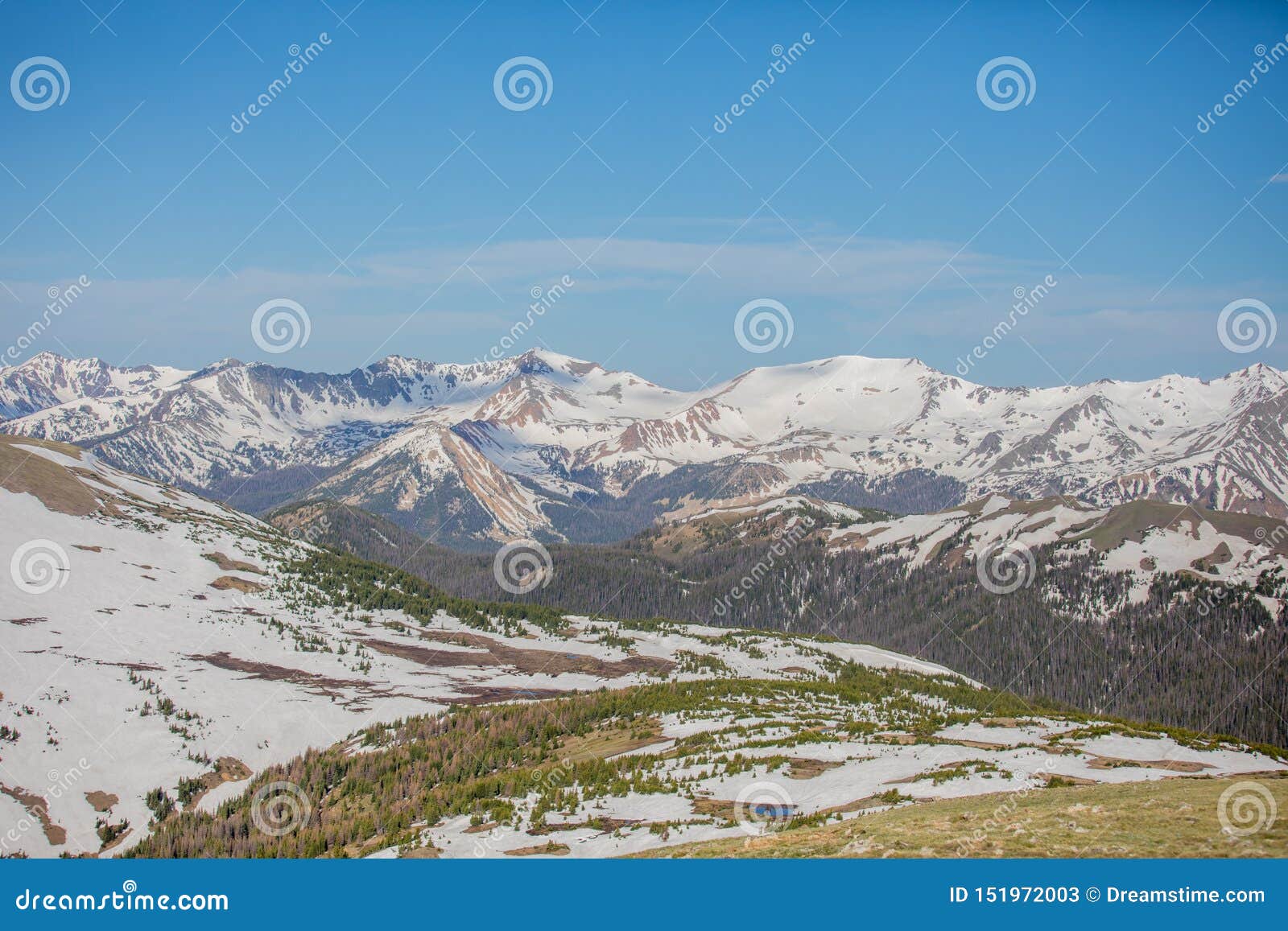 Green Meadow And Snowy Mountains On A Summer Day In Rocky Mountain