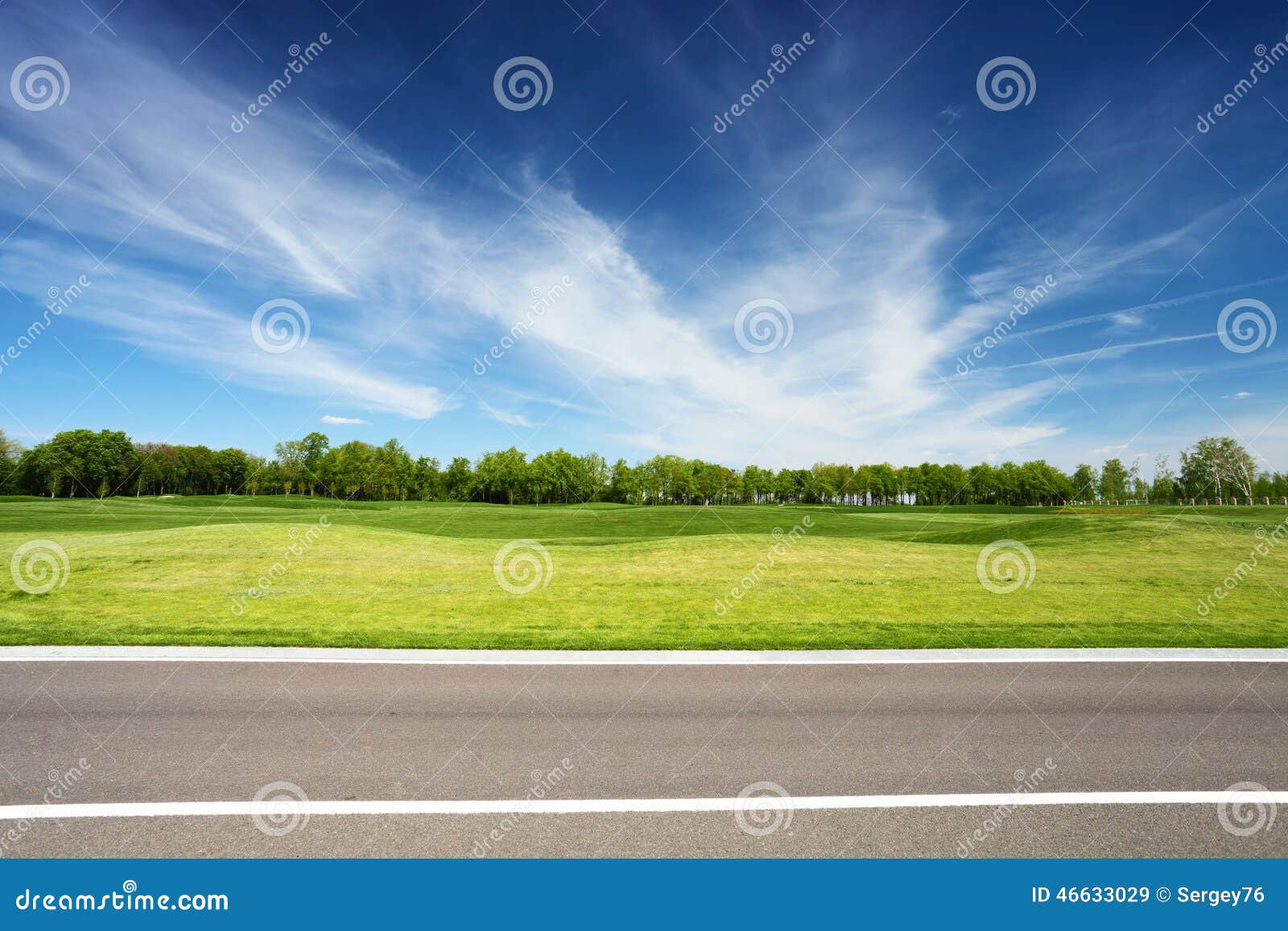 green meadow with trees and asphalt road