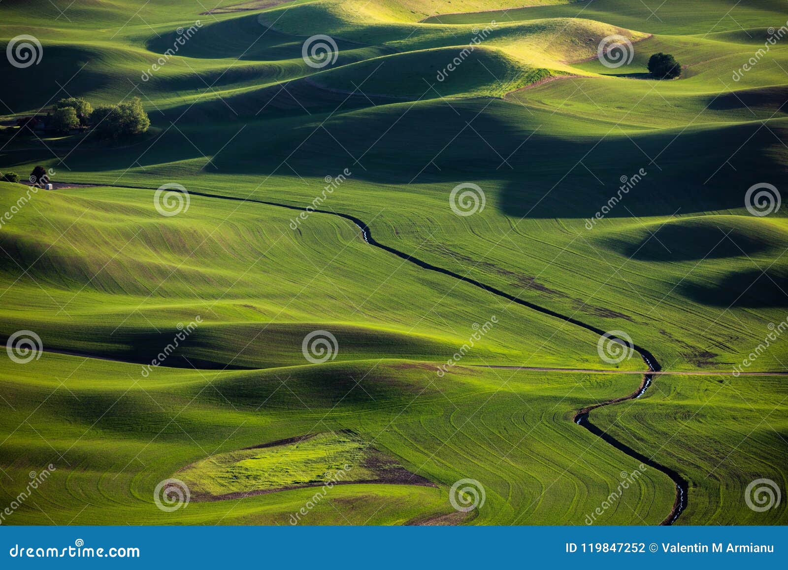 Green meadows stock photo. Image of meadow, washington 119847252