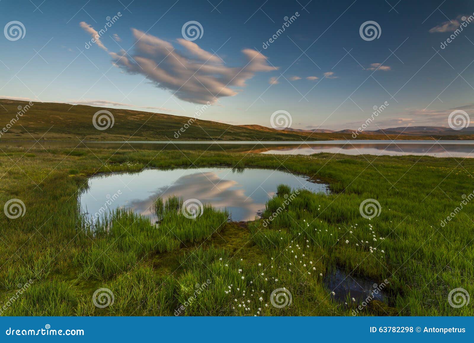 Green meadows and river stock photo. Image of river, cloud 63782298