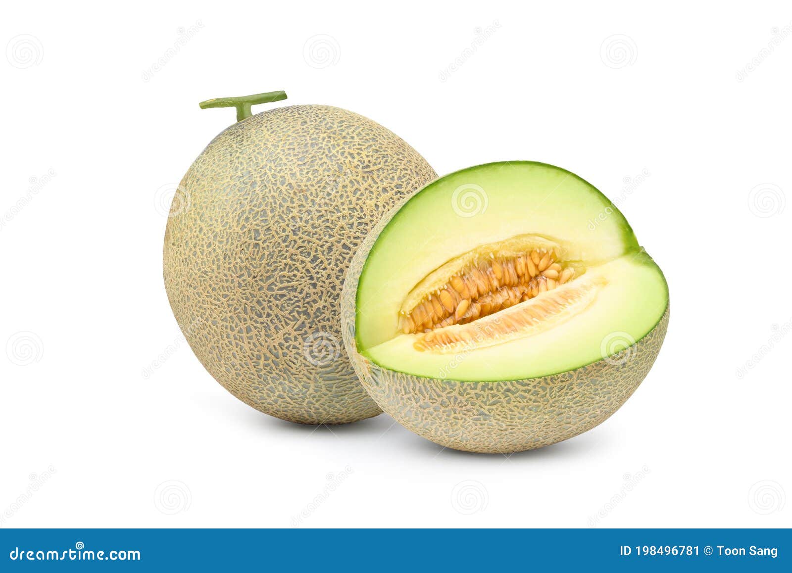 Green melon with sliced stock image. Image of white 198496781
