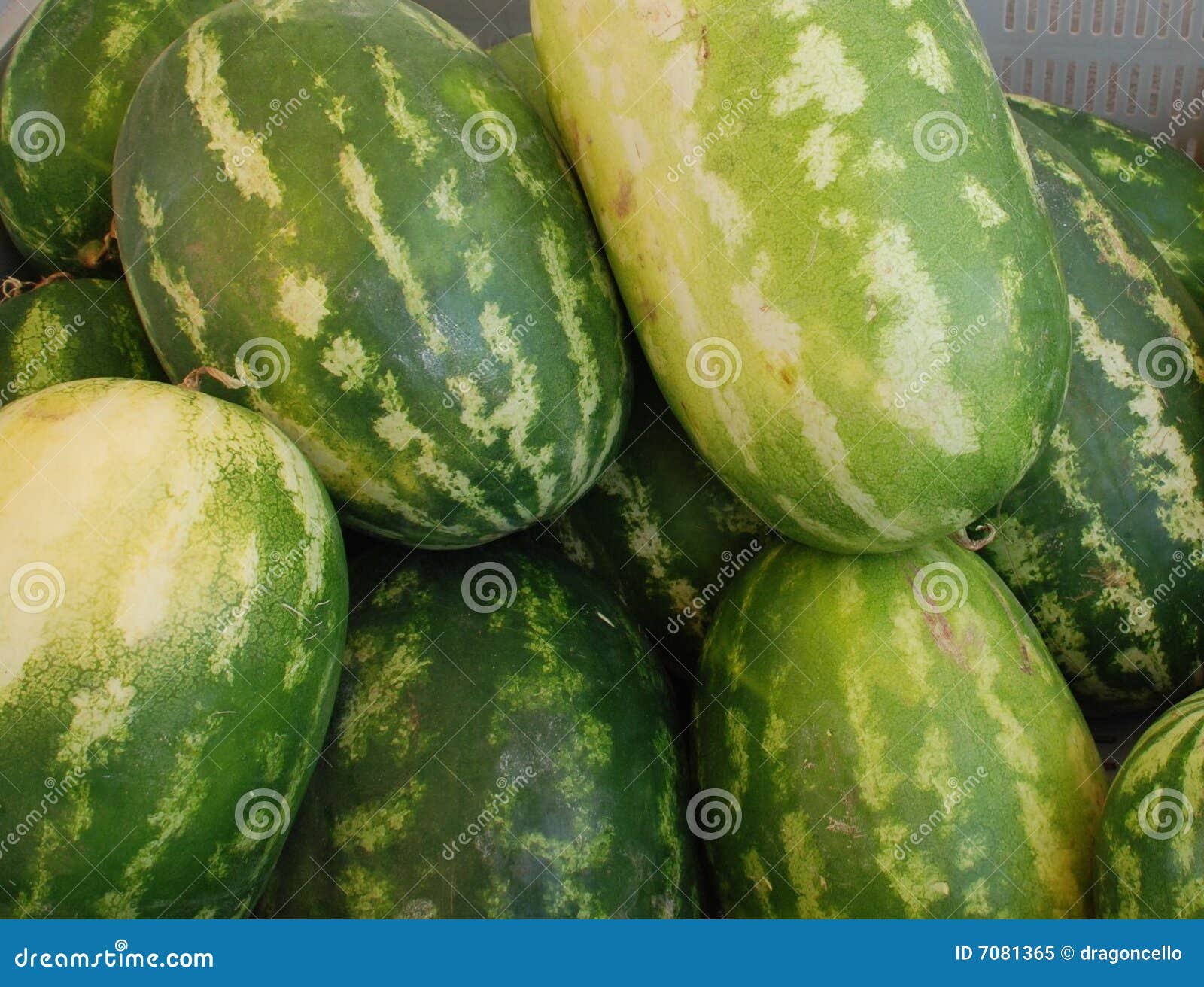 Green Melons stock image. Image of fruit, fruits, edible 7081365