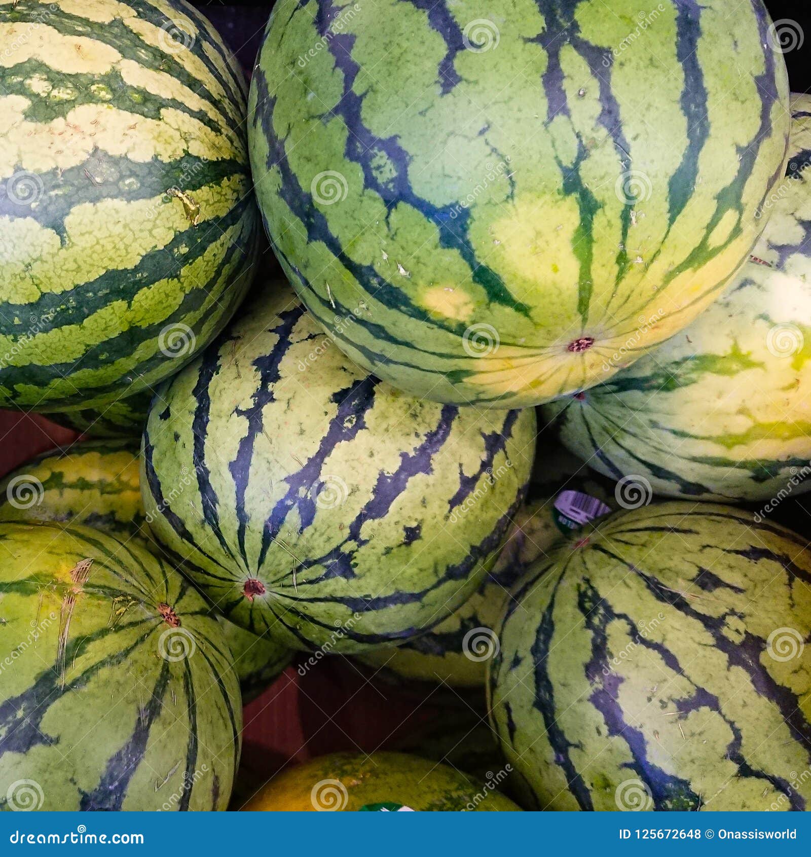 Green Melons stock photo. Image of grown, melons, autumn 125672648