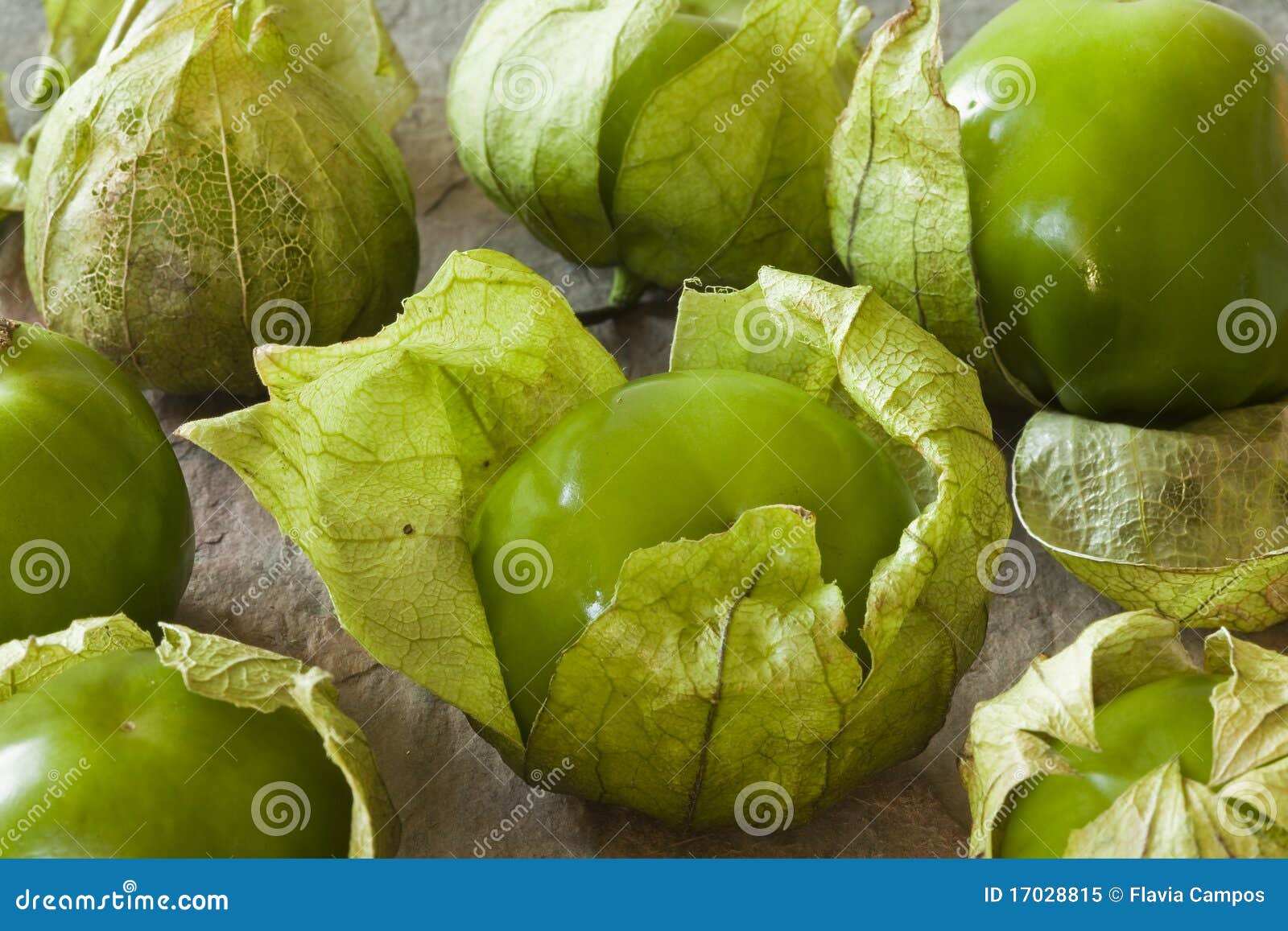 Green Mexican Tomatoes with Peel Stock Image Image of peppers, tacos