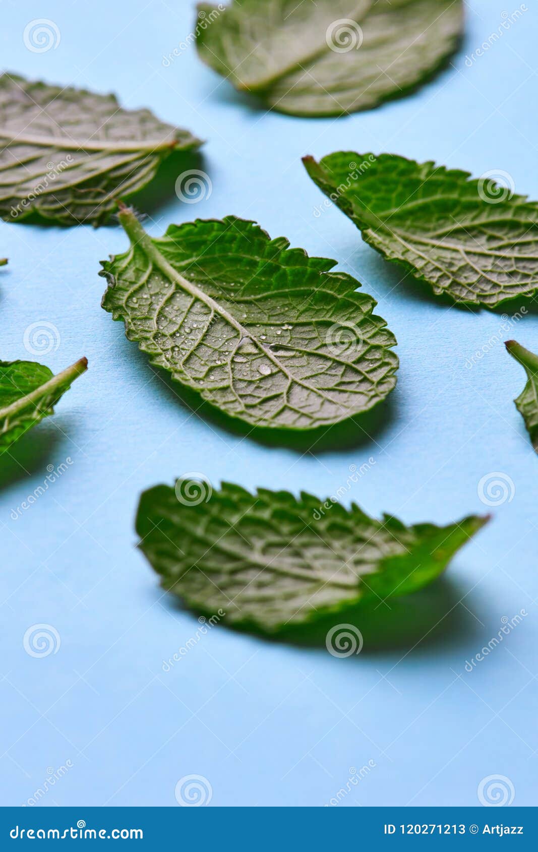 boiling mint leaves in water boiling mint leaves in water