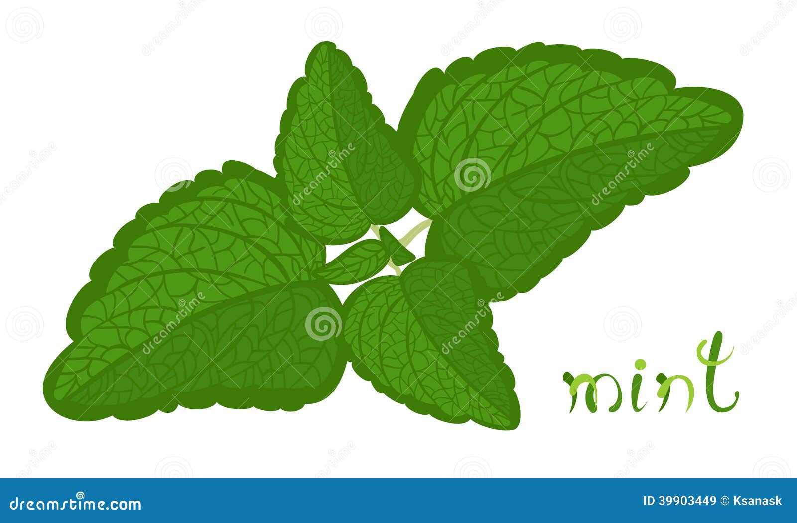 free mint leaves clipart - photo #38