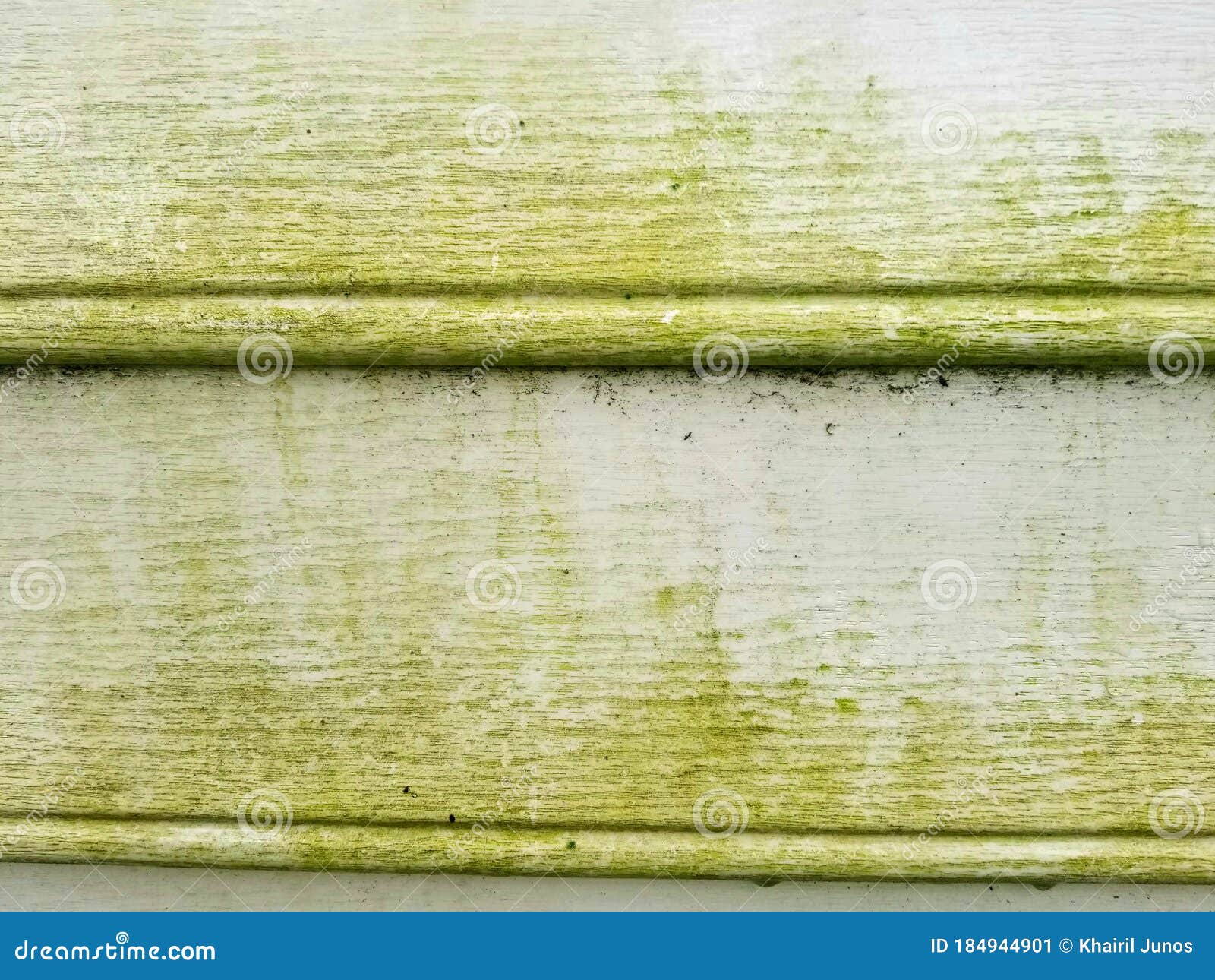 What is the Green Stuff on Siding?
