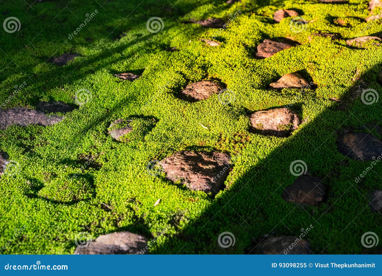 Green moss on stone. stock image. Image of rough, moss 93098255