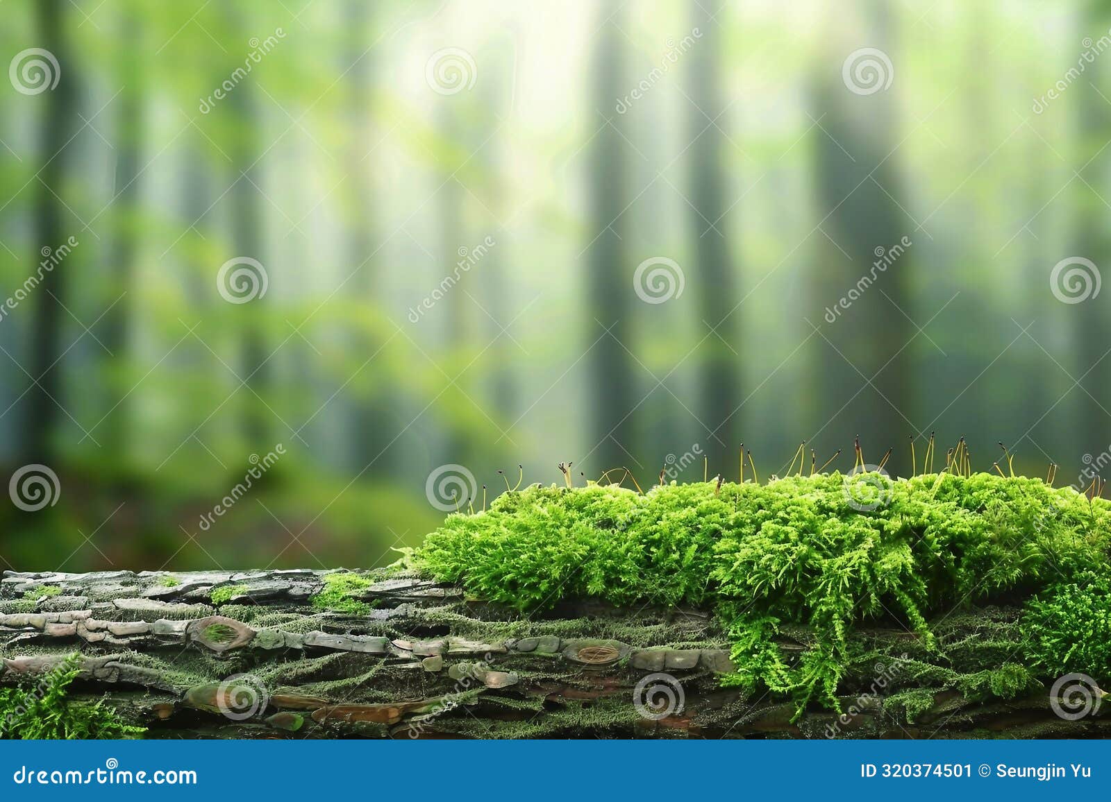 green mossy log background for product display montages.