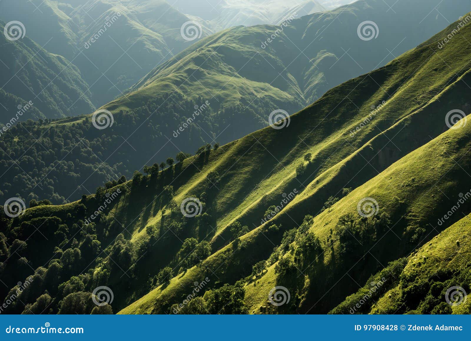 green mountain hillsides with trees, pastures, meadows and deep valleys in region tusheti