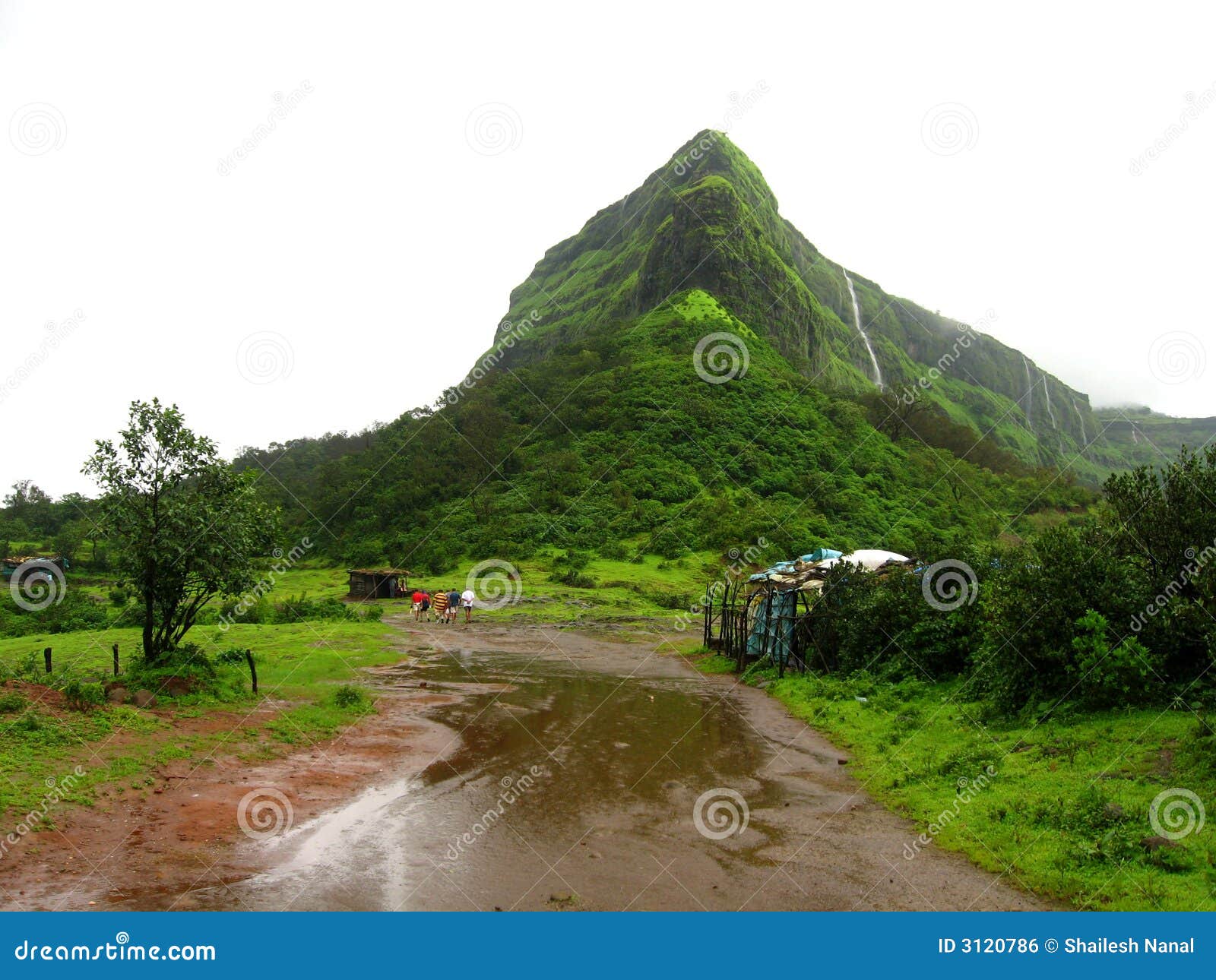Green mountain in India stock photo. Image of track, scenic - 3120786