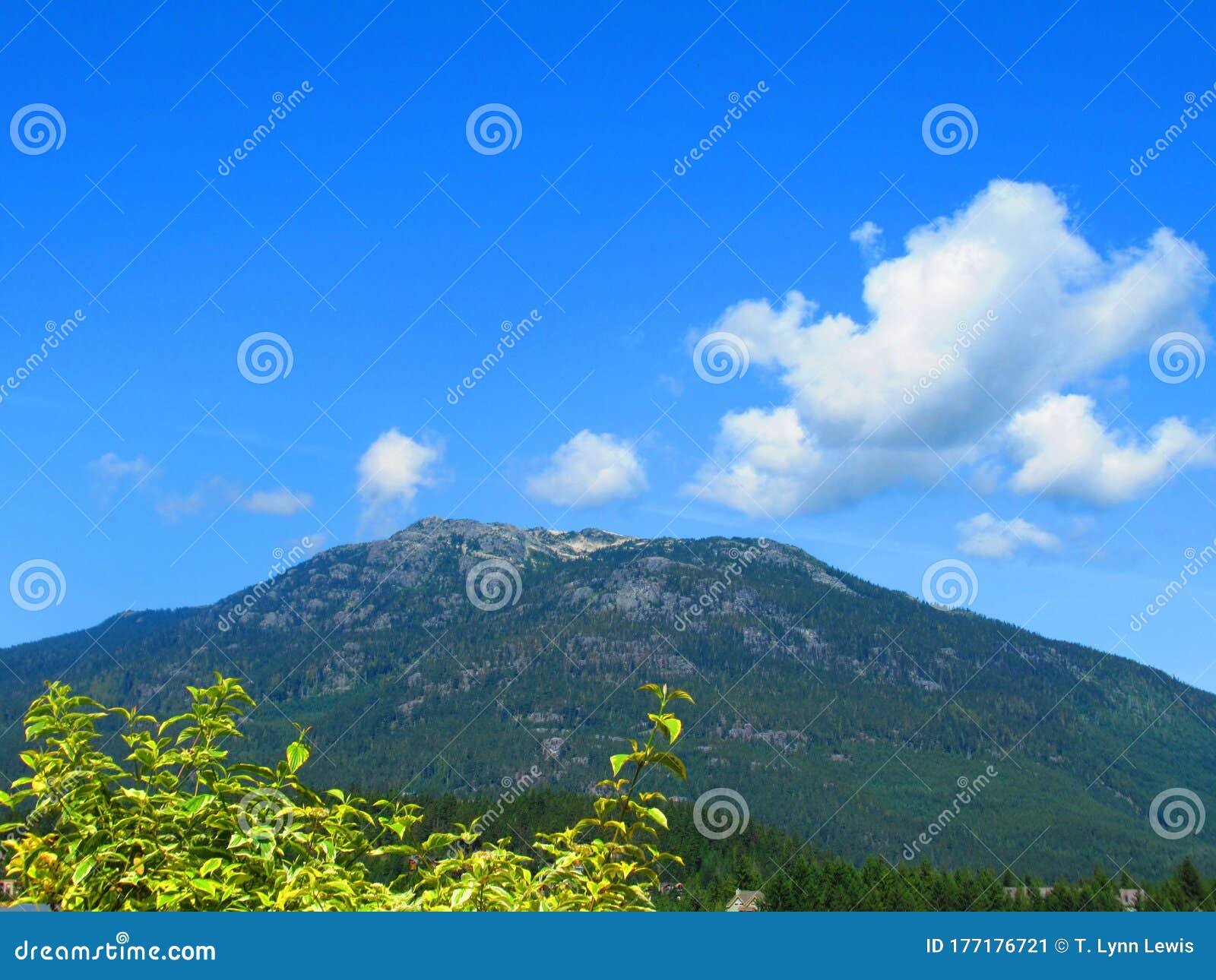 Green Mountain Rainforest Under the Blue Sky Stock Image Image of green, trees 177176721