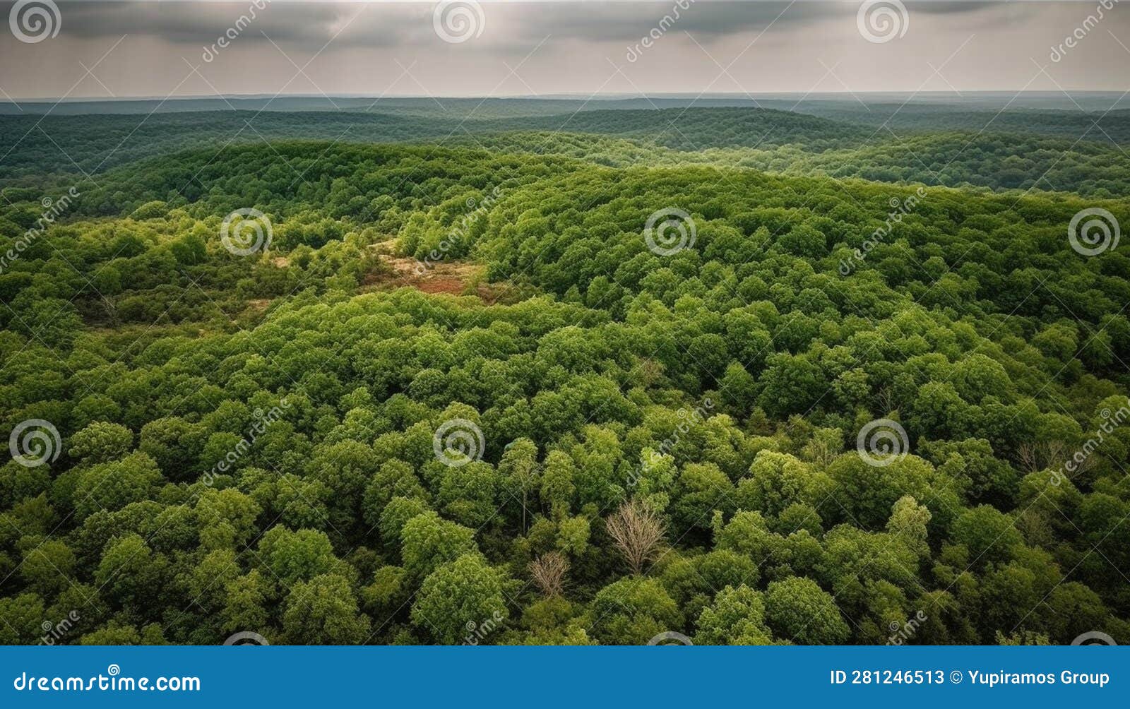 Green Mountain Range, Tranquil Meadow, Aerial View of Nature Beauty
