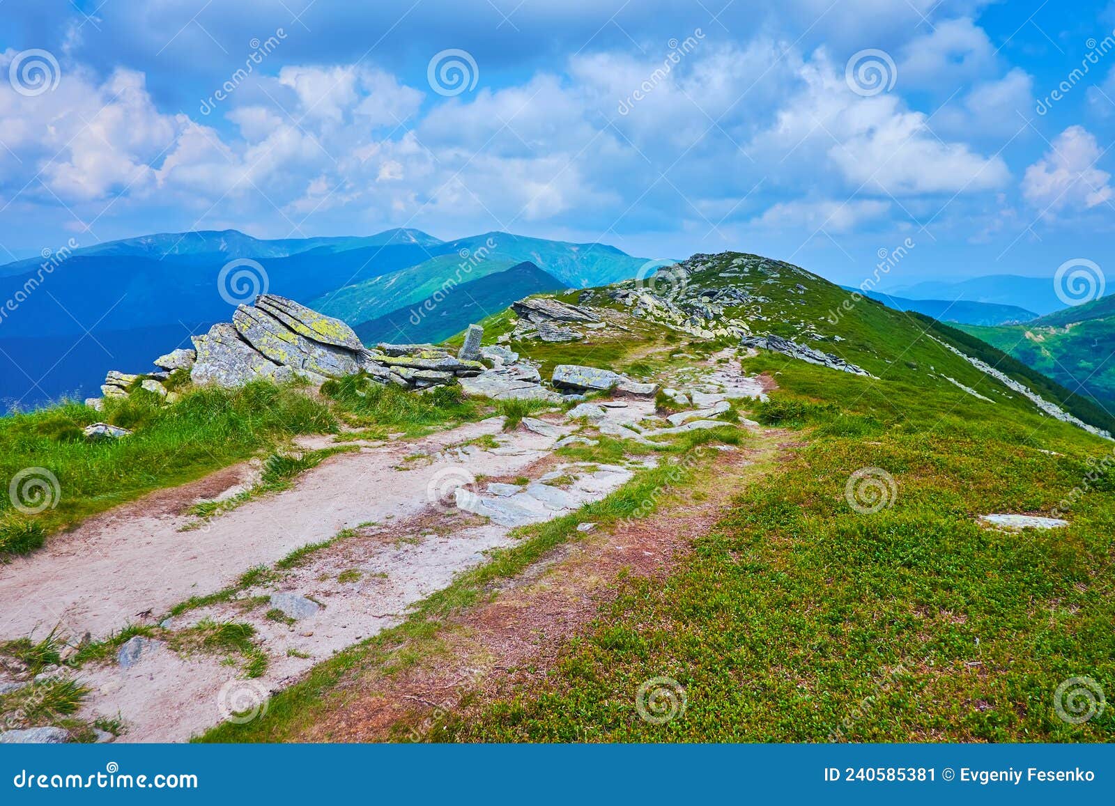 the green mountain scenery with white rock outputs, chornohora mountain range, carpathians, ukraine