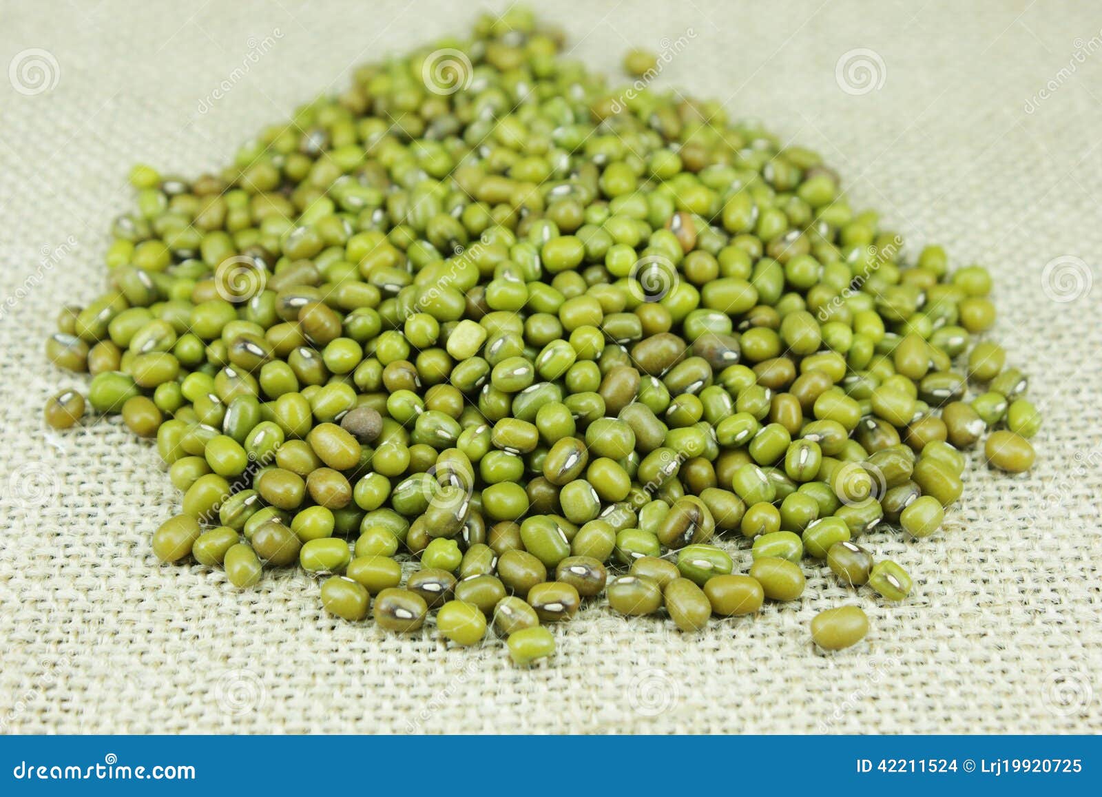 Green mung beans stock photo. Image of background, bowl 42211524