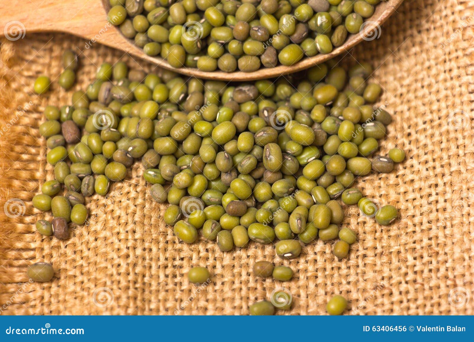 Green mung beans stock photo. Image of background, moong 63406456