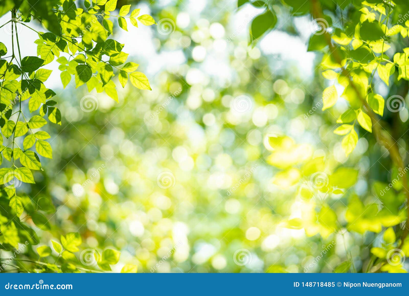 Green Nature Background with Beauty Bokeh Stock Image - Image of frame ...