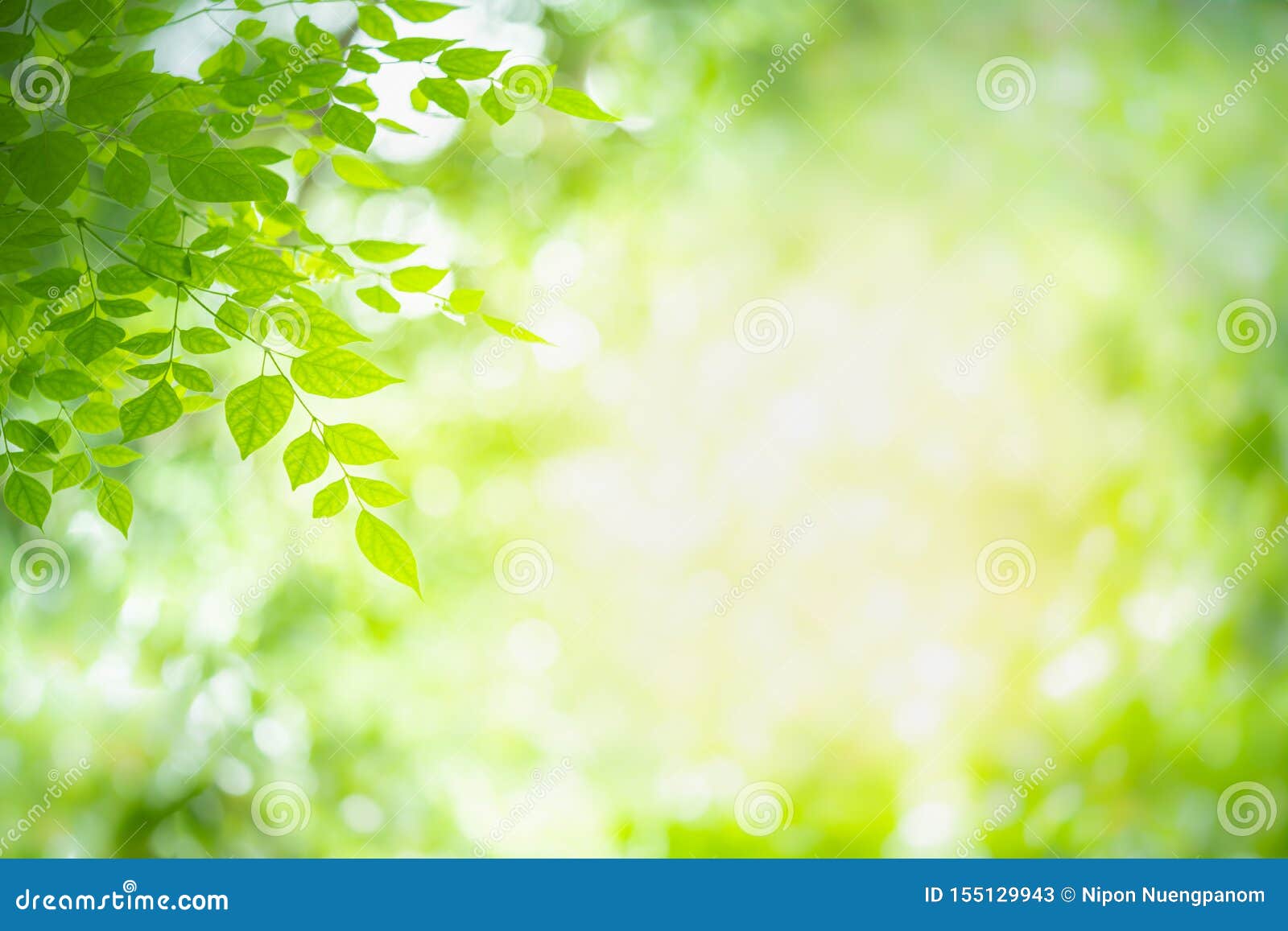 Green Nature on Blurred Background. Stock Image - Image of blur ...