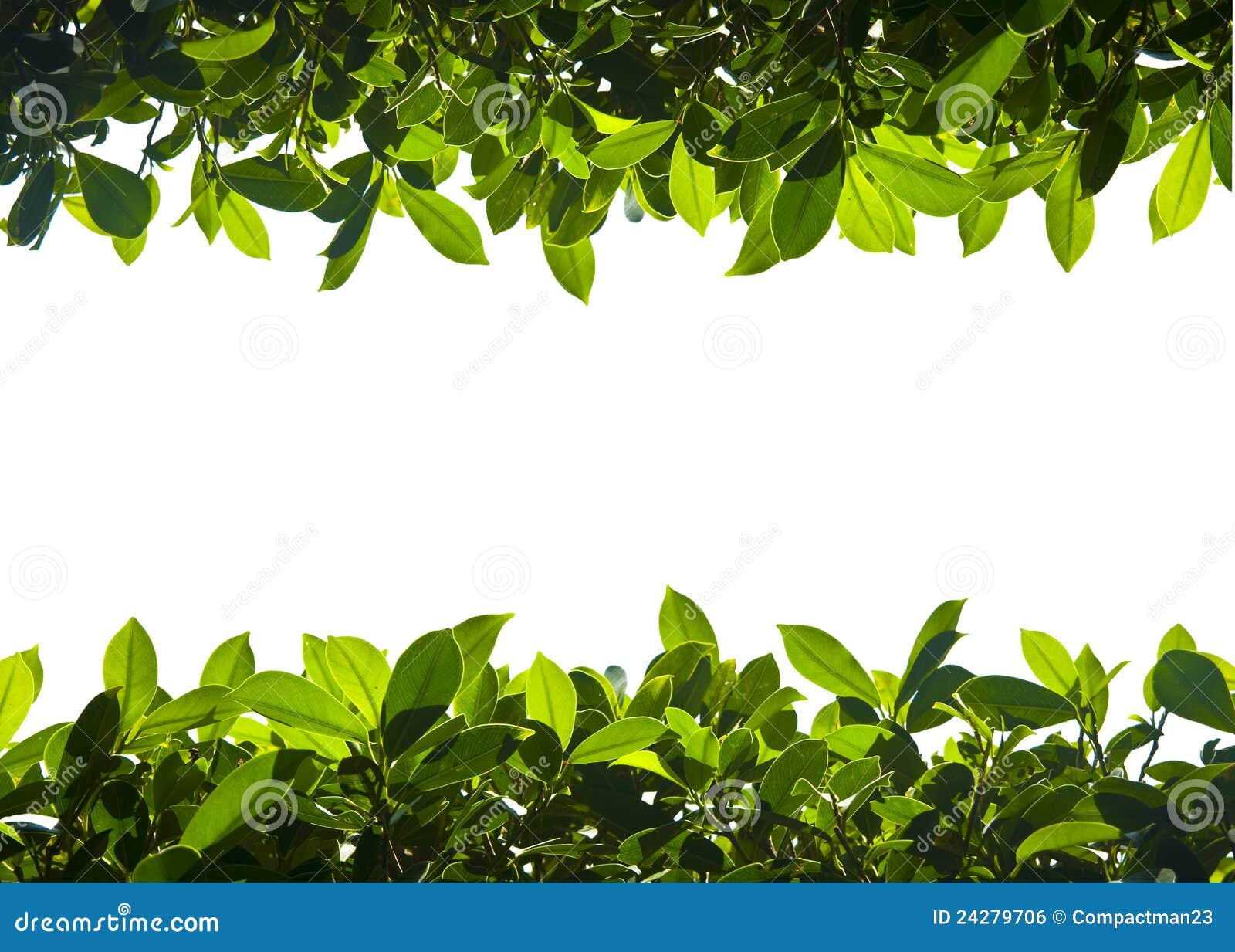 clip art border nature - photo #31