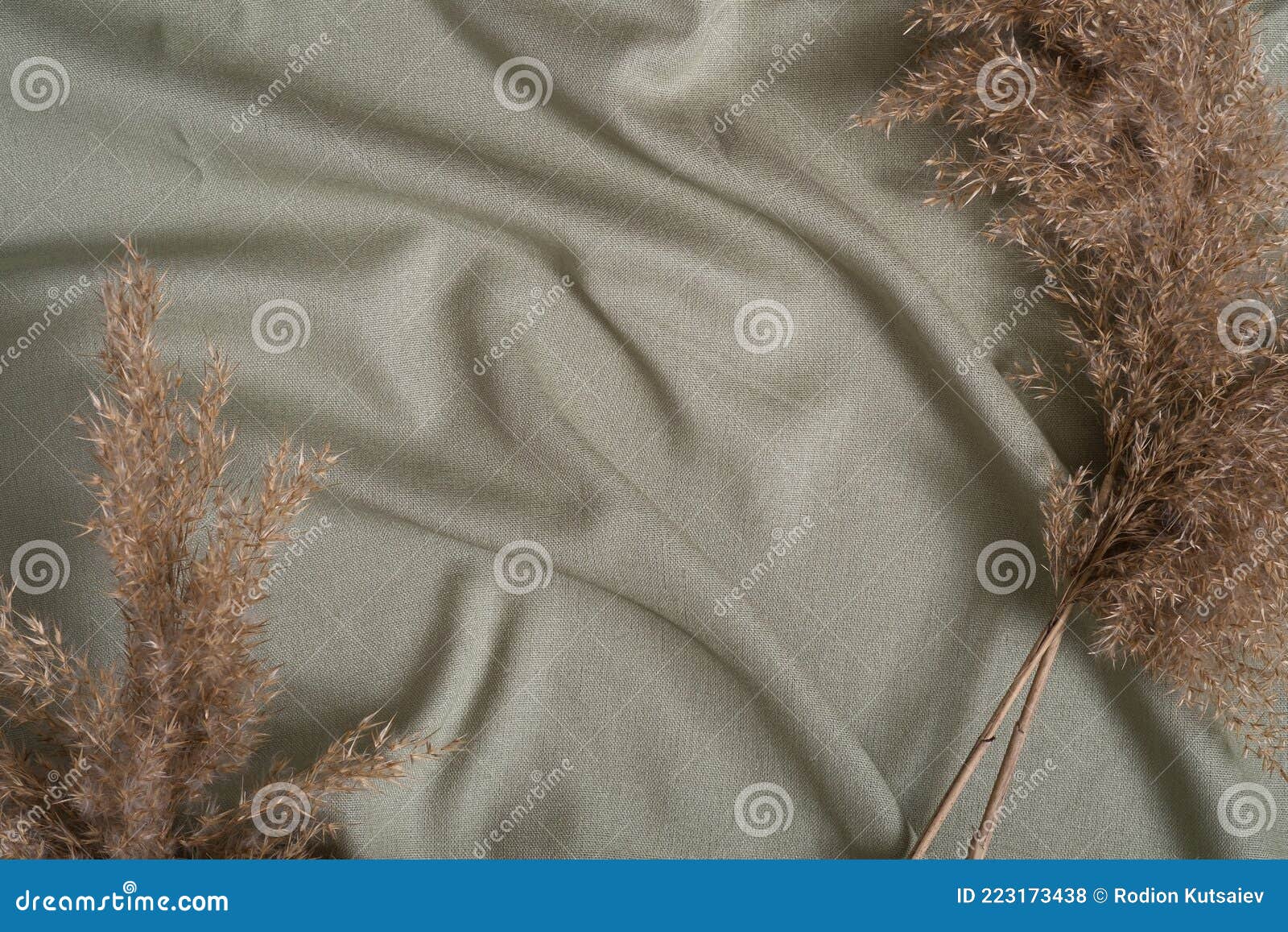Green Neutral Colored Textile, Linen Fabric Near To Decor Dry Pampas Grass  Stock Photo - Image of minimal, pampas: 223173438