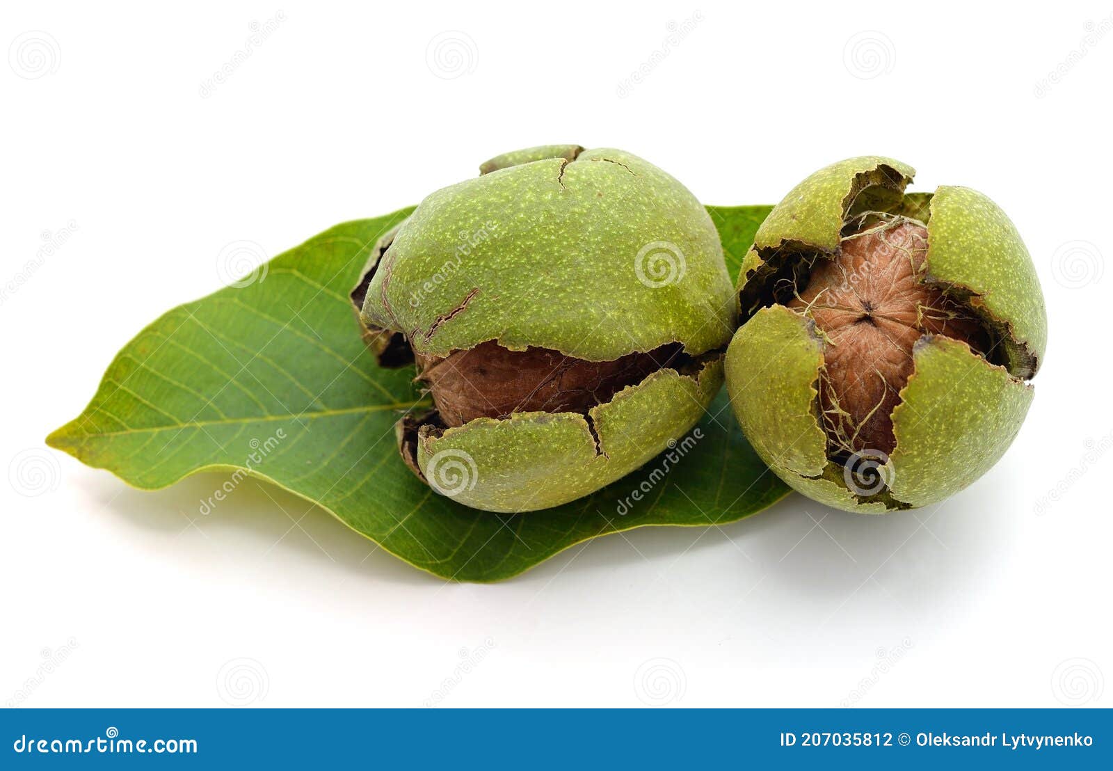 Green nuts with leaves stock photo. Image of protein 207035812