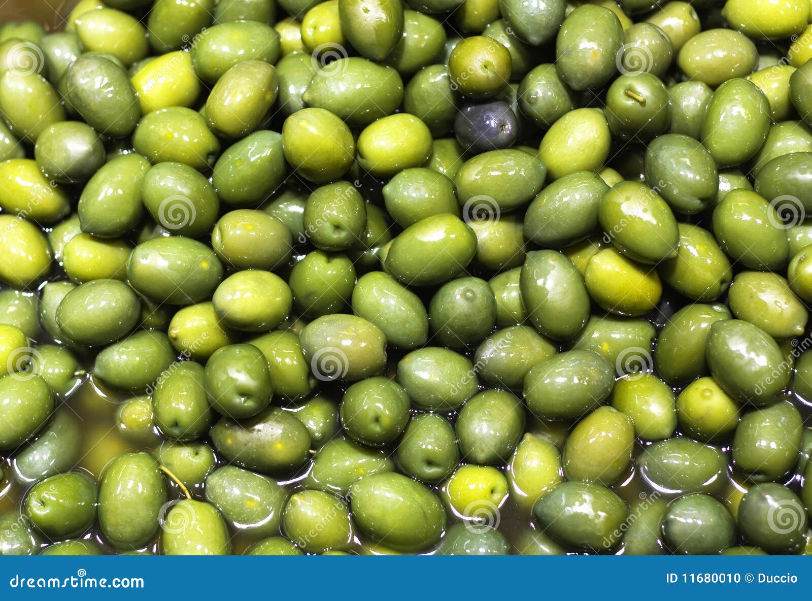 Green olives stock photo. Image of green, ecological 11680010