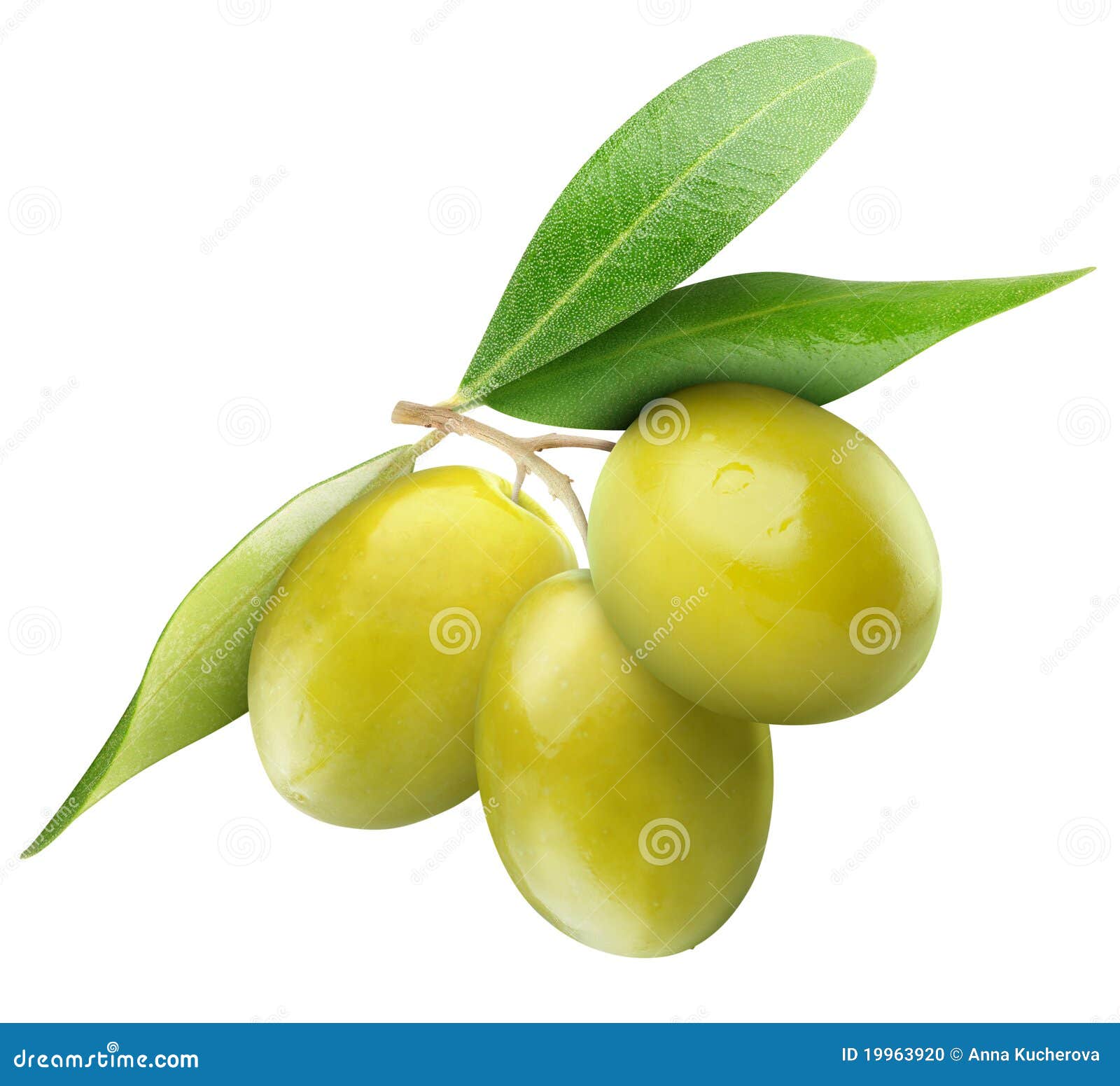 Olives On White Stock Photo - Download Image Now - Olive - Fruit