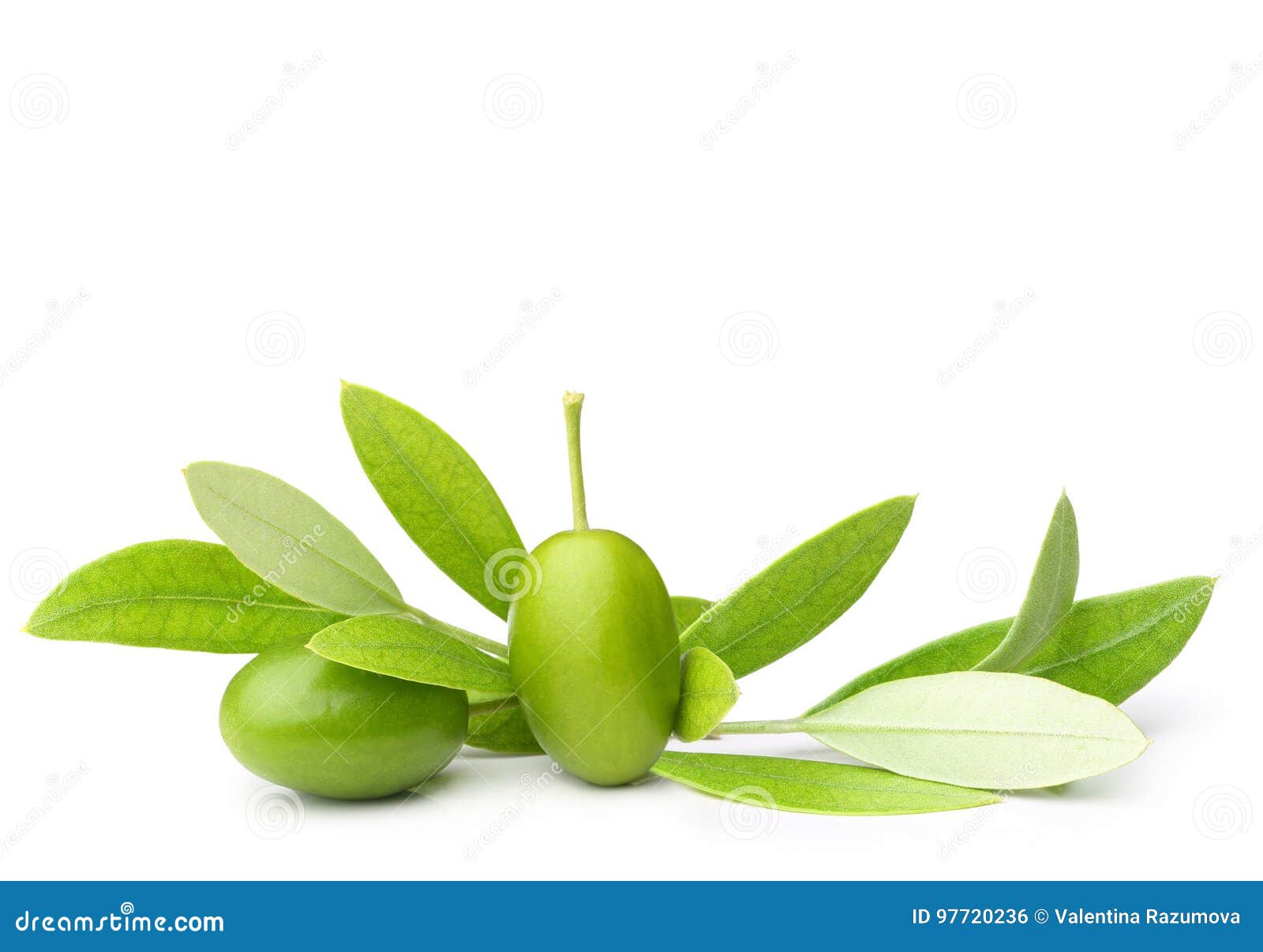 Green olives with leaves stock photo. Image of healthy 97720236
